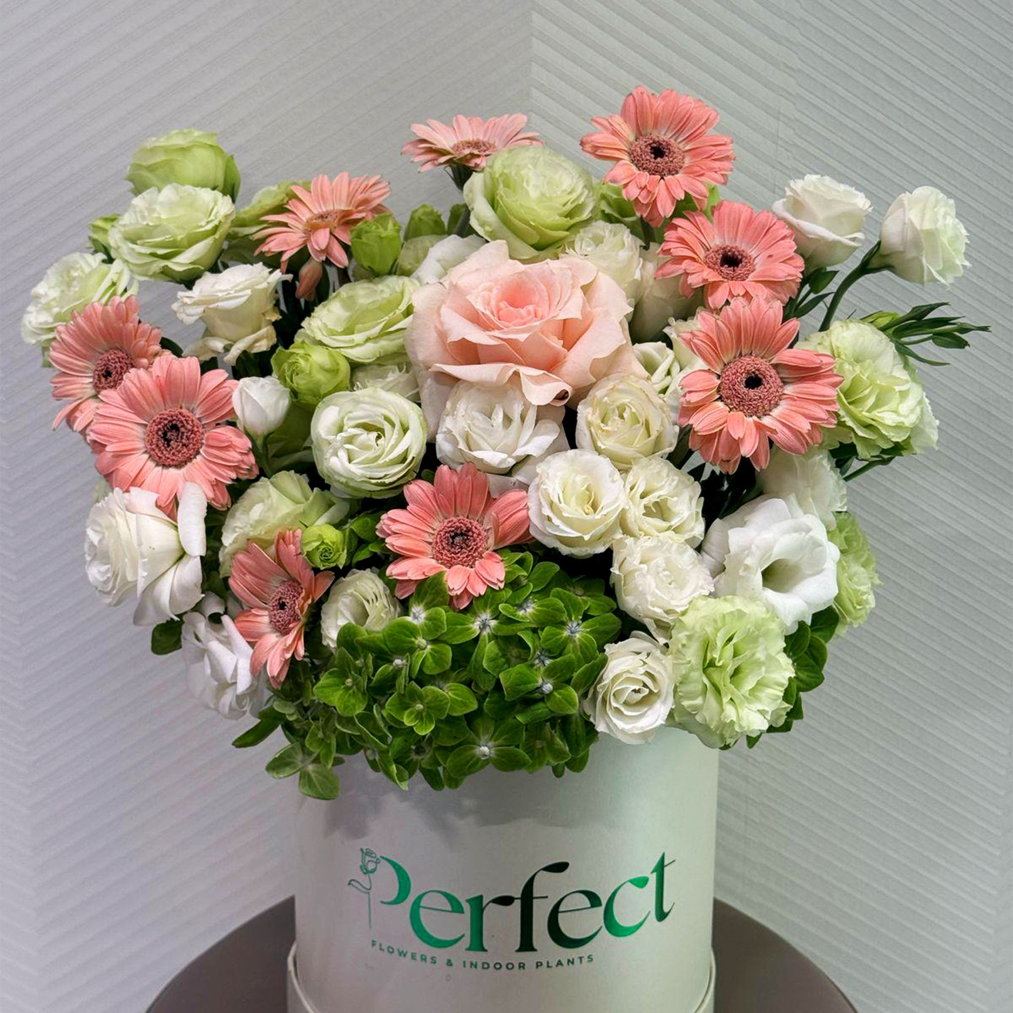Spring Box