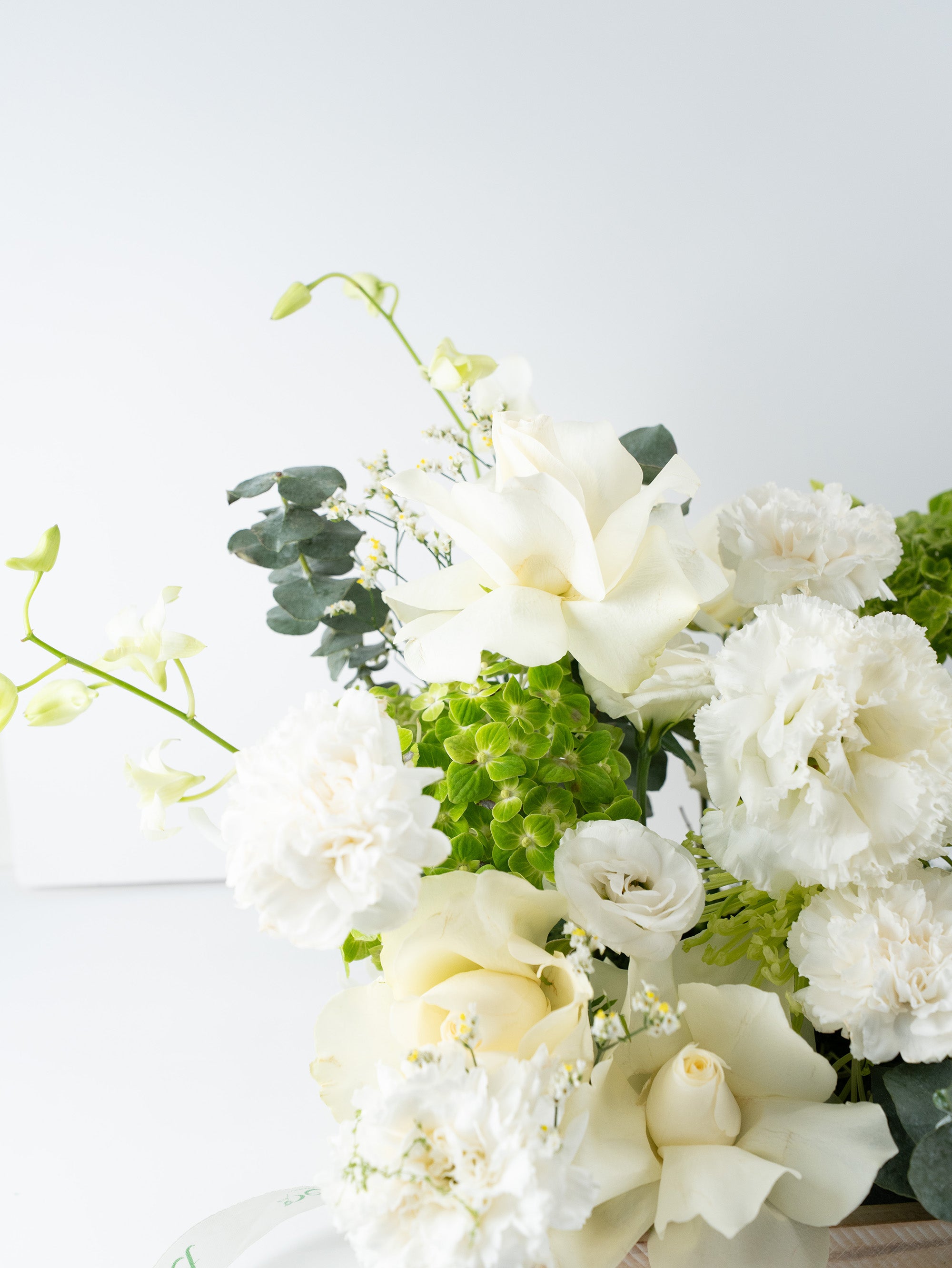 Knowledge in Bloom Tray