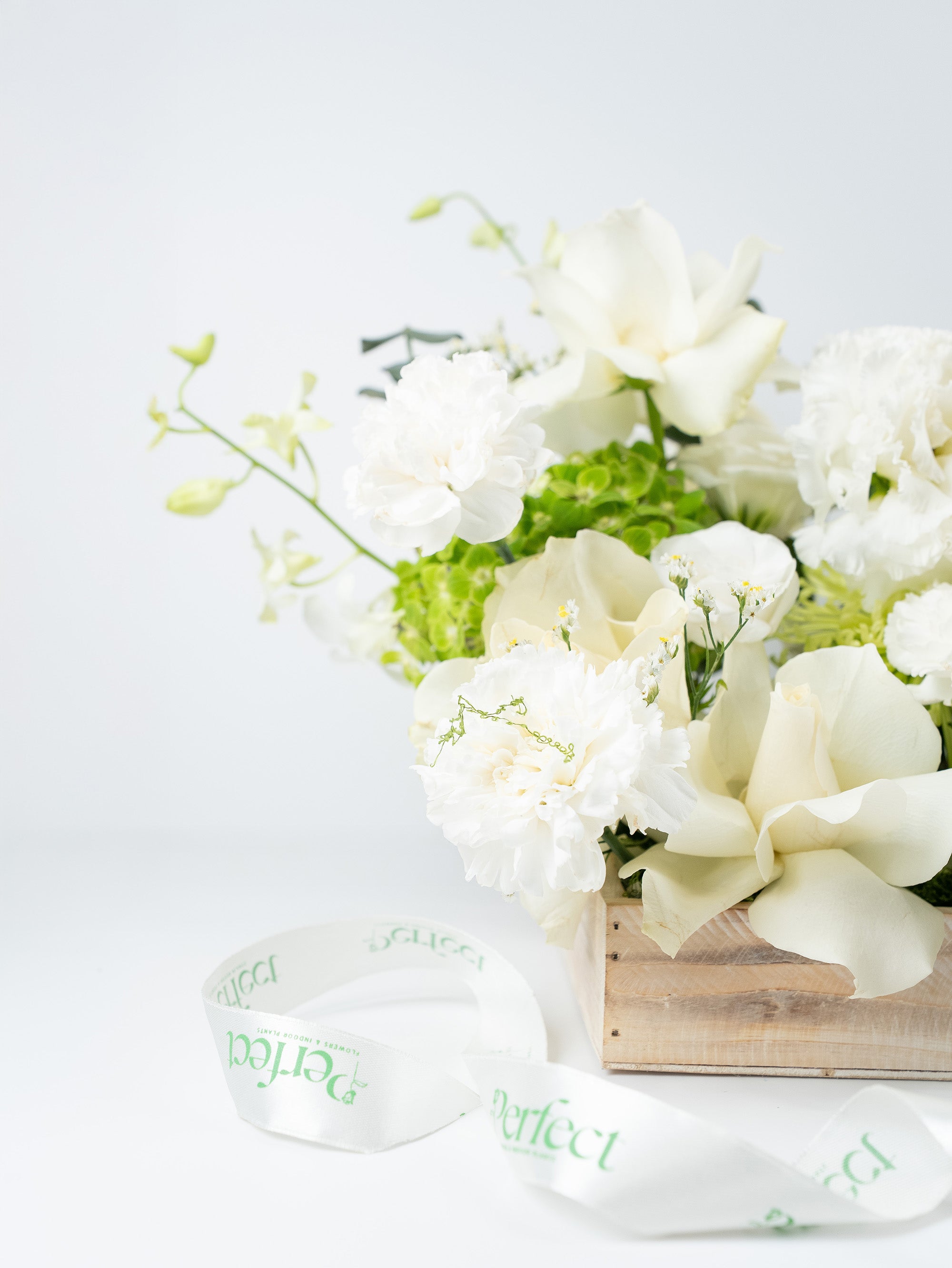 Knowledge in Bloom Tray