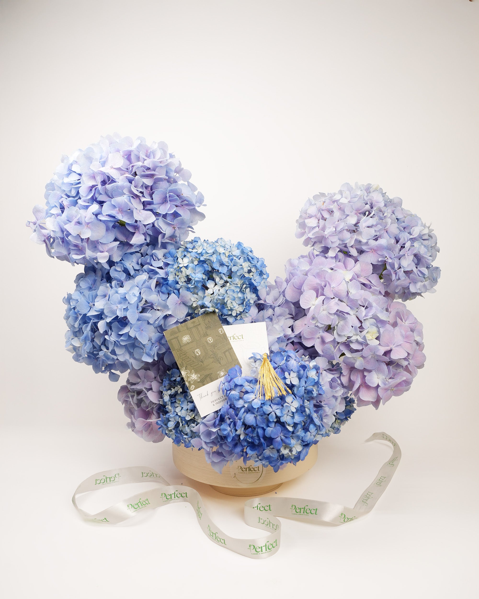 Royal Hydrangea Bloom