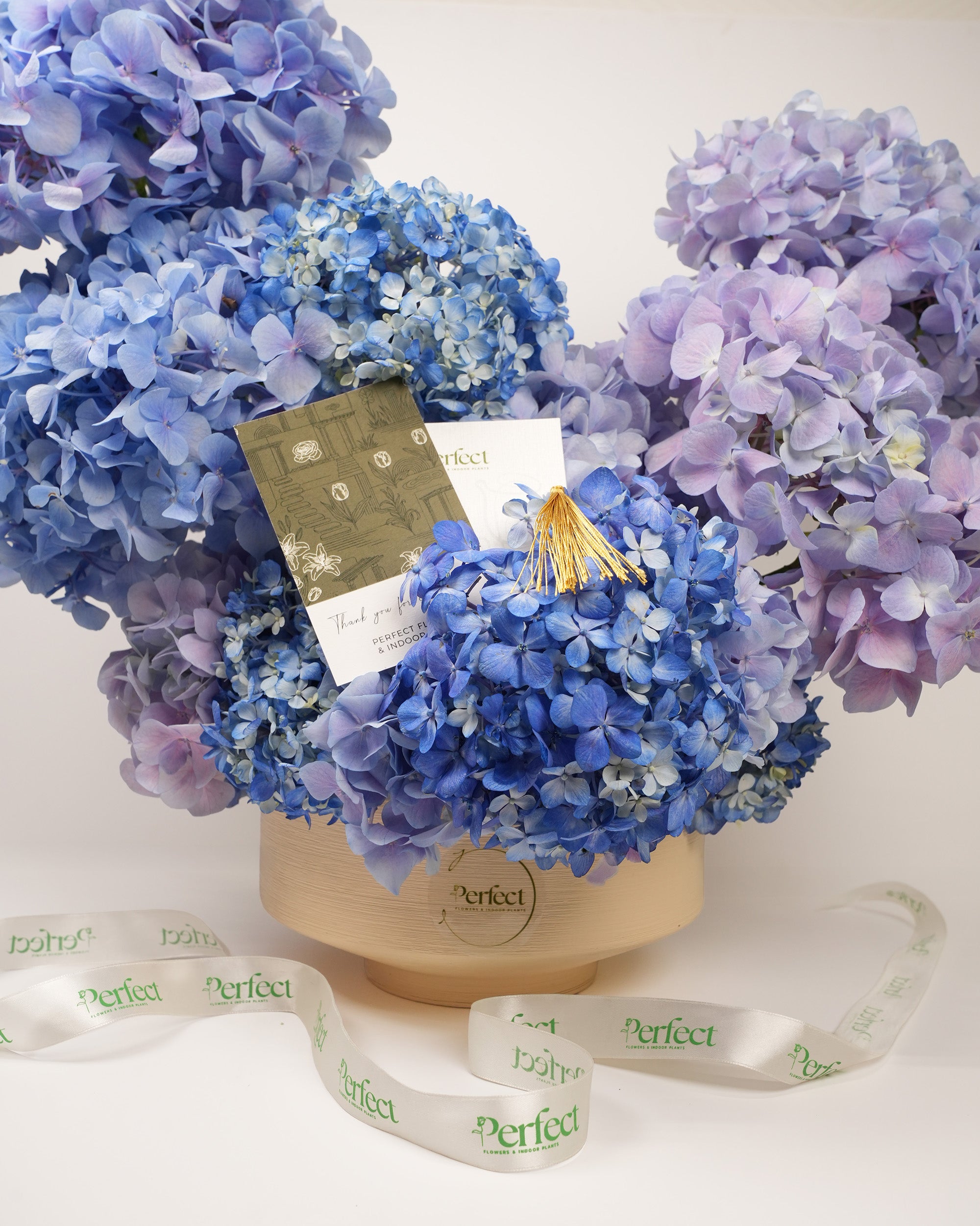 Royal Hydrangea Bloom