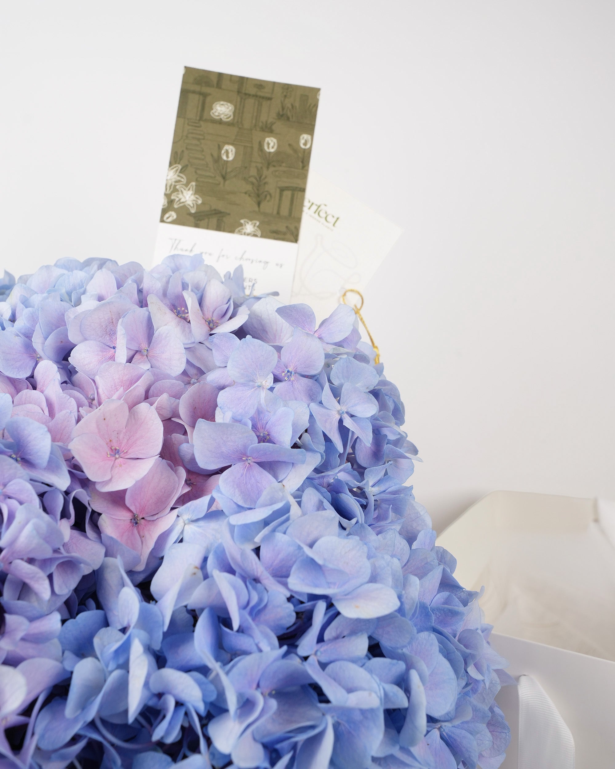 Lavender Luxe