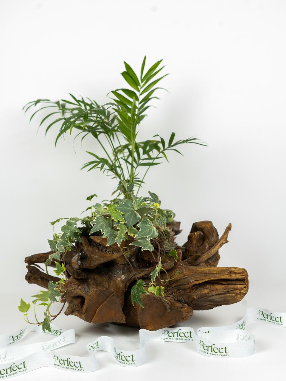 Woodscape_1