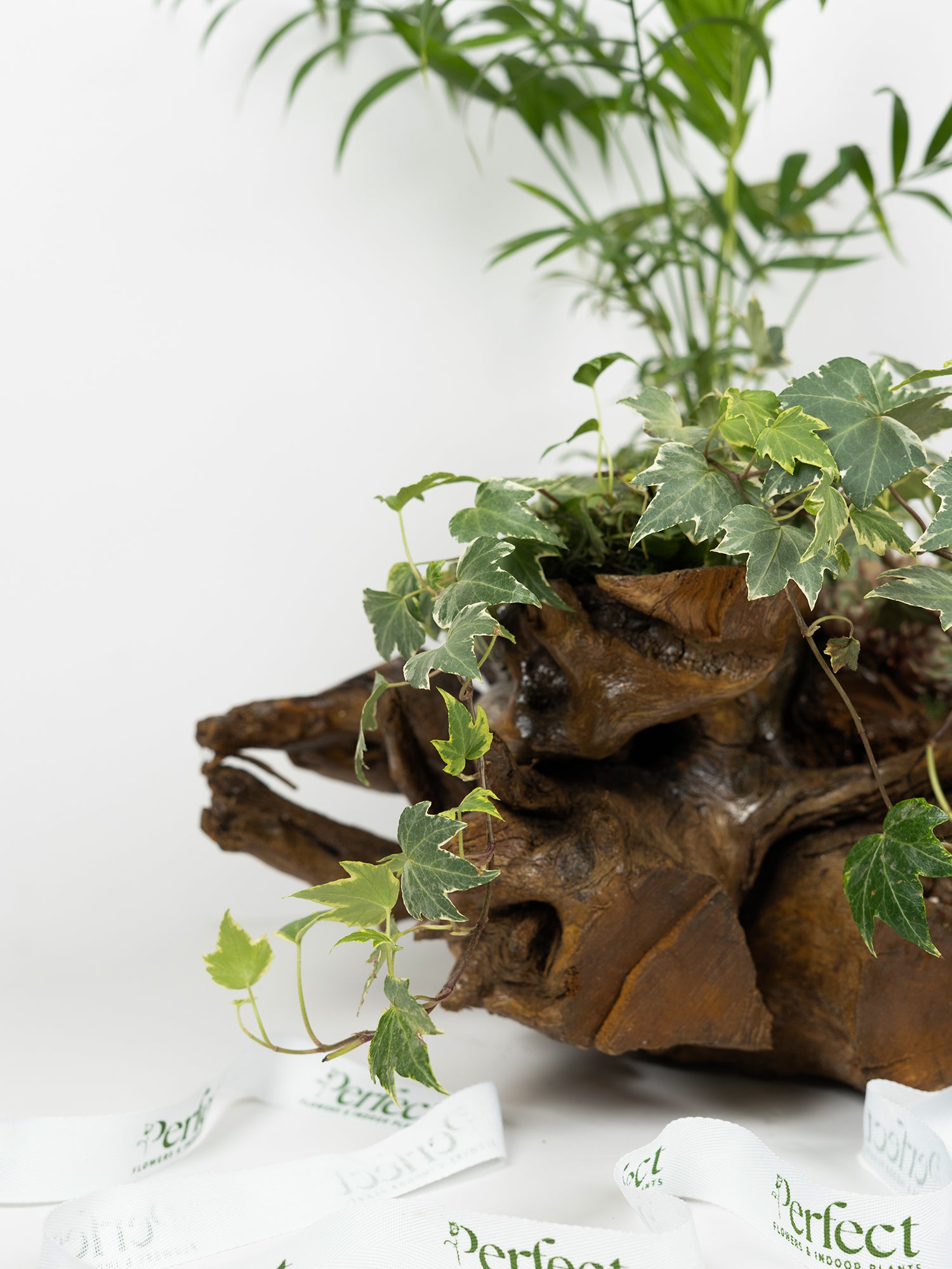Woodscape_2