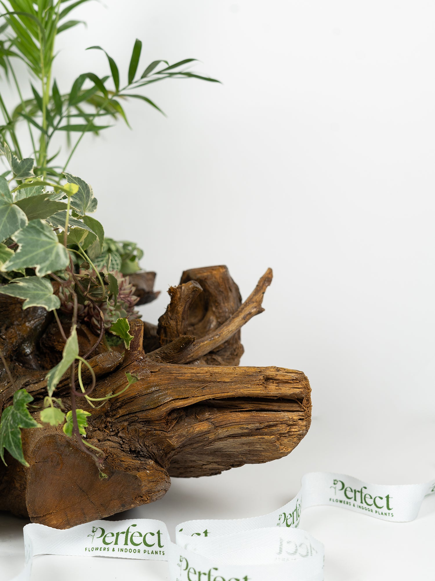 Woodscape_3
