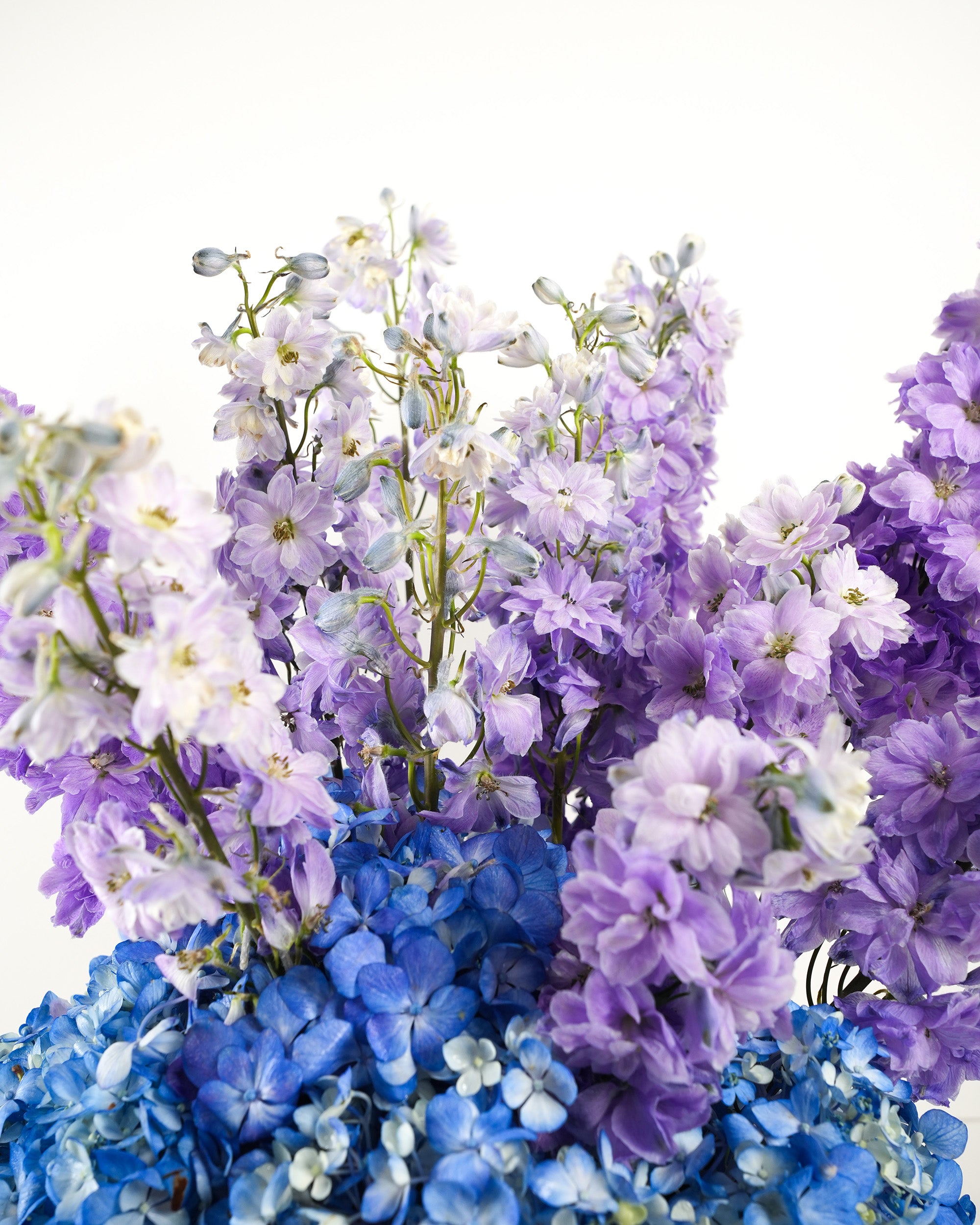 amour-en-violet_2