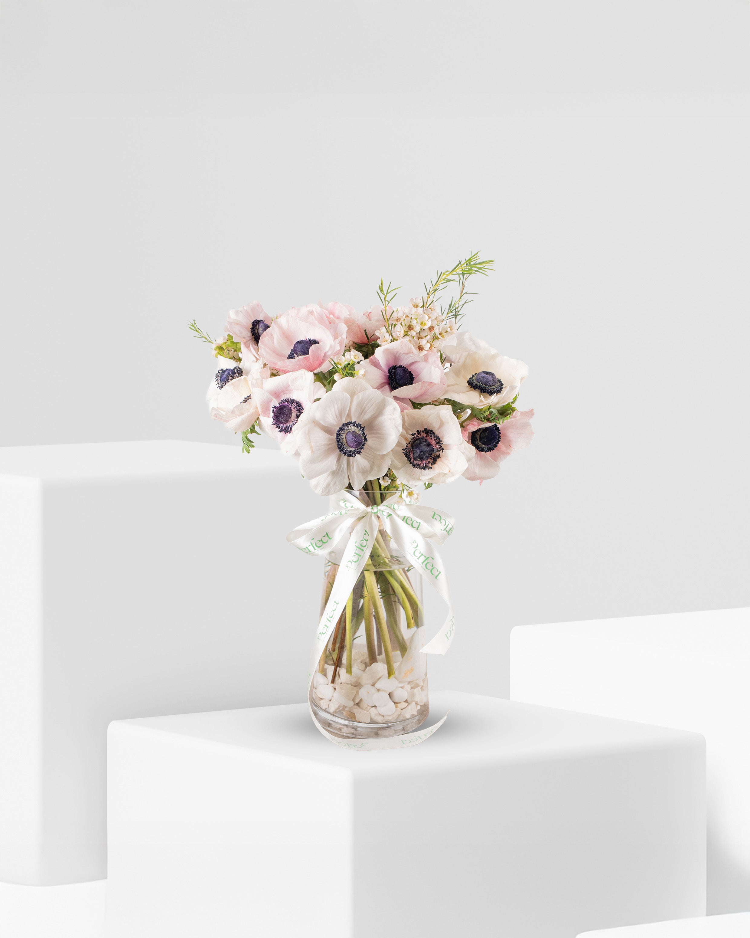anemones-muse