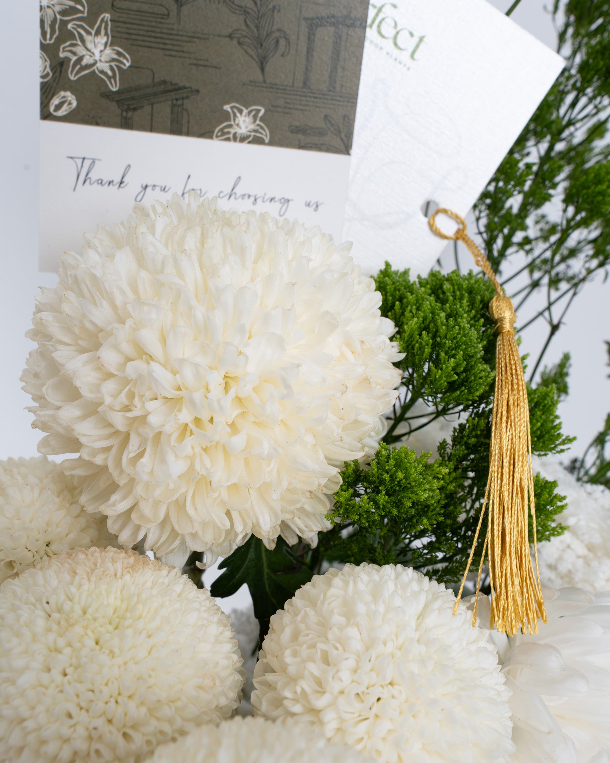 Antique White