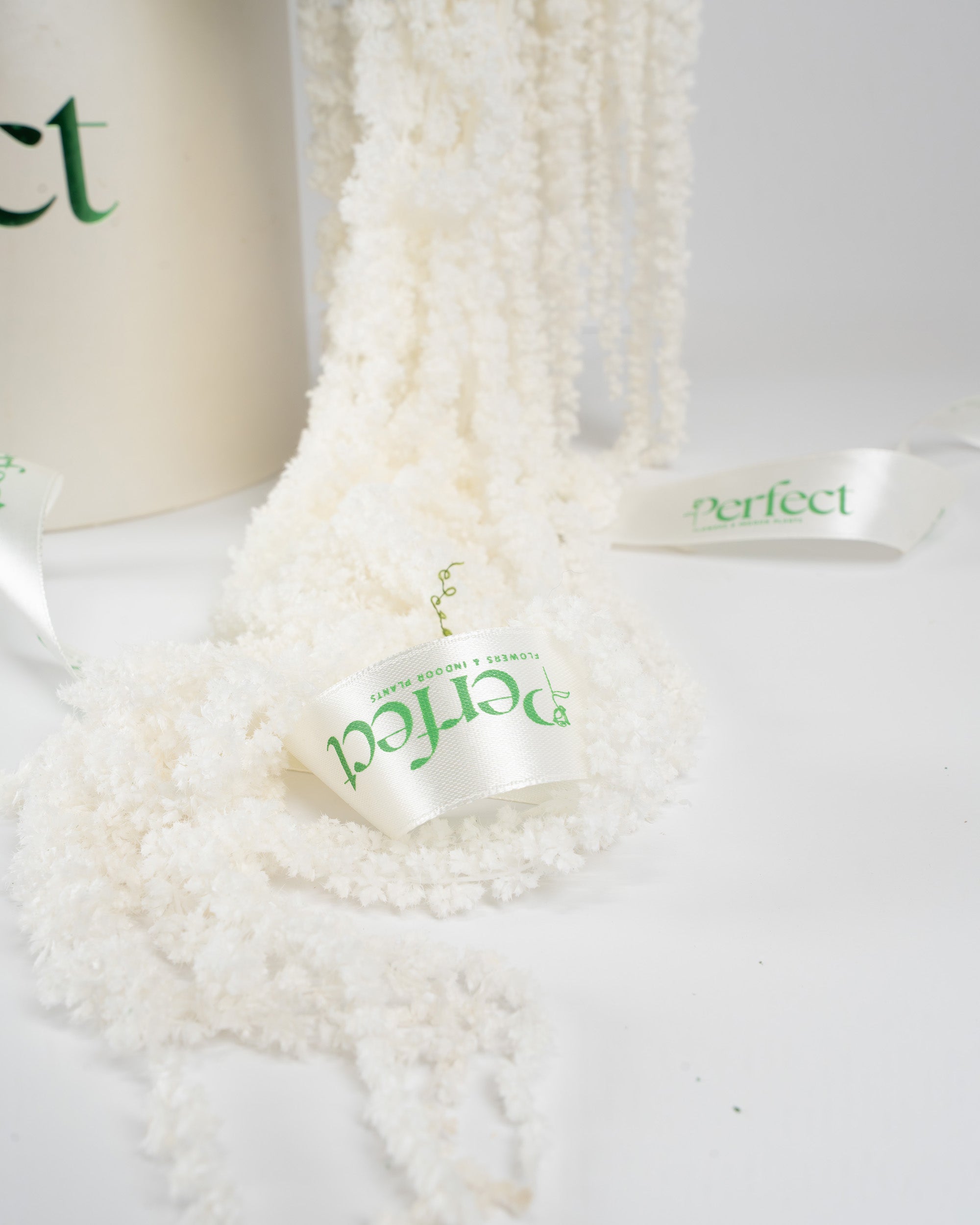 antique-white_3