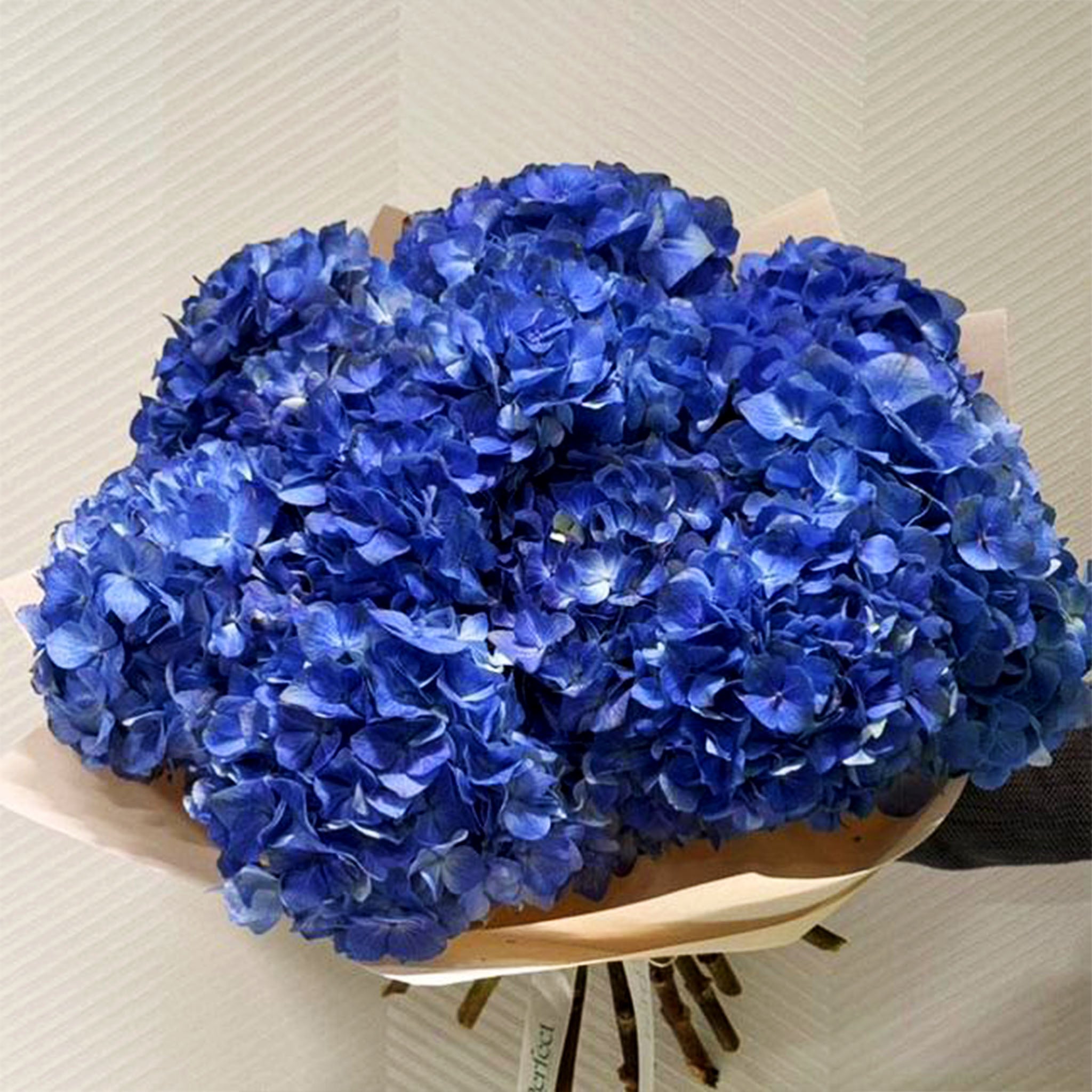 blueberry-bouquet