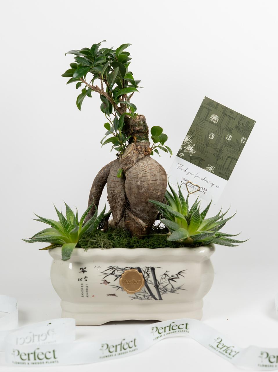 botanical-sanctuary_1