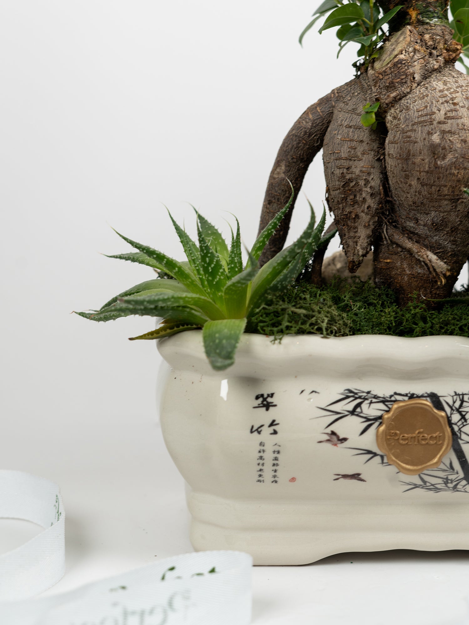 botanical-sanctuary_3