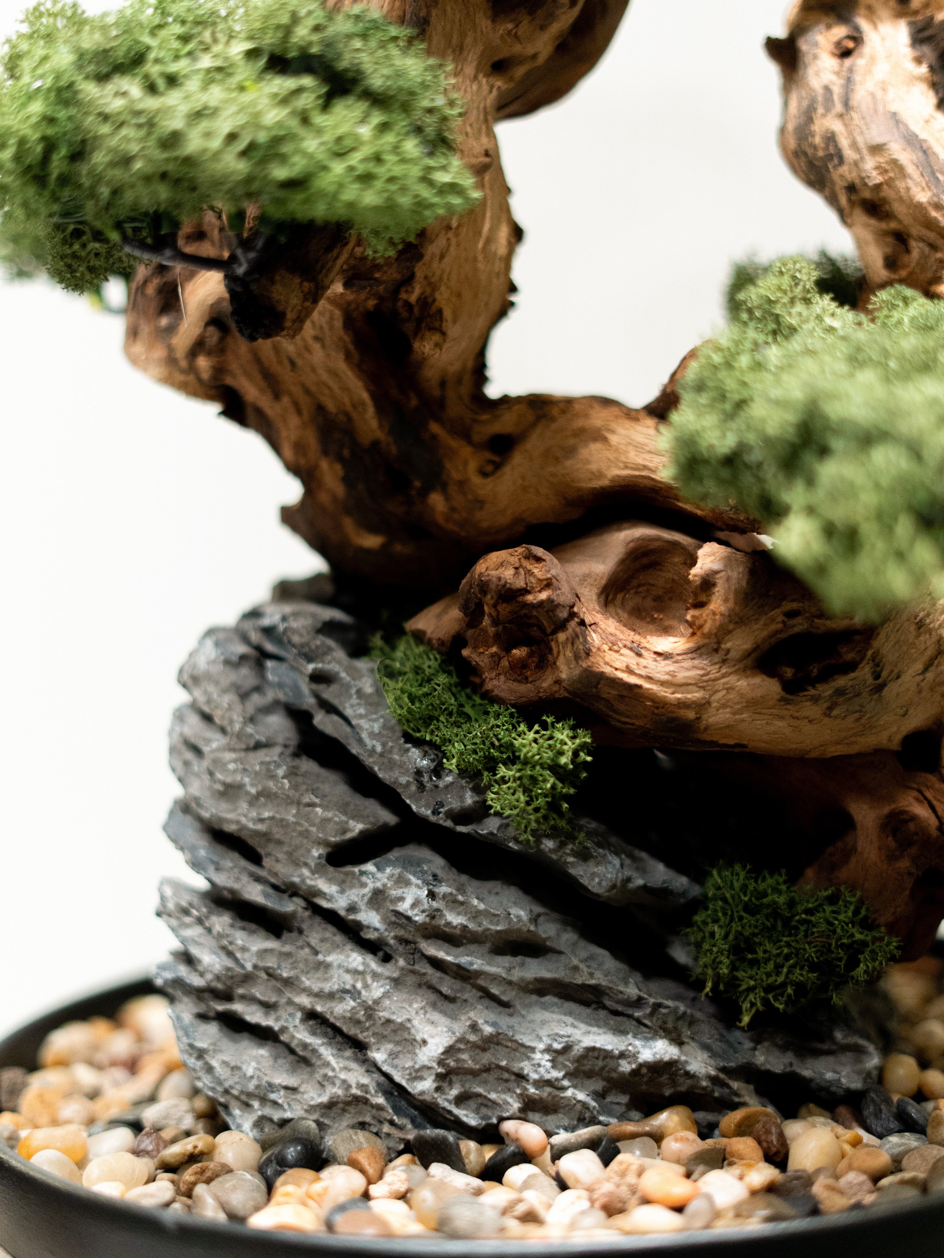 grove_3