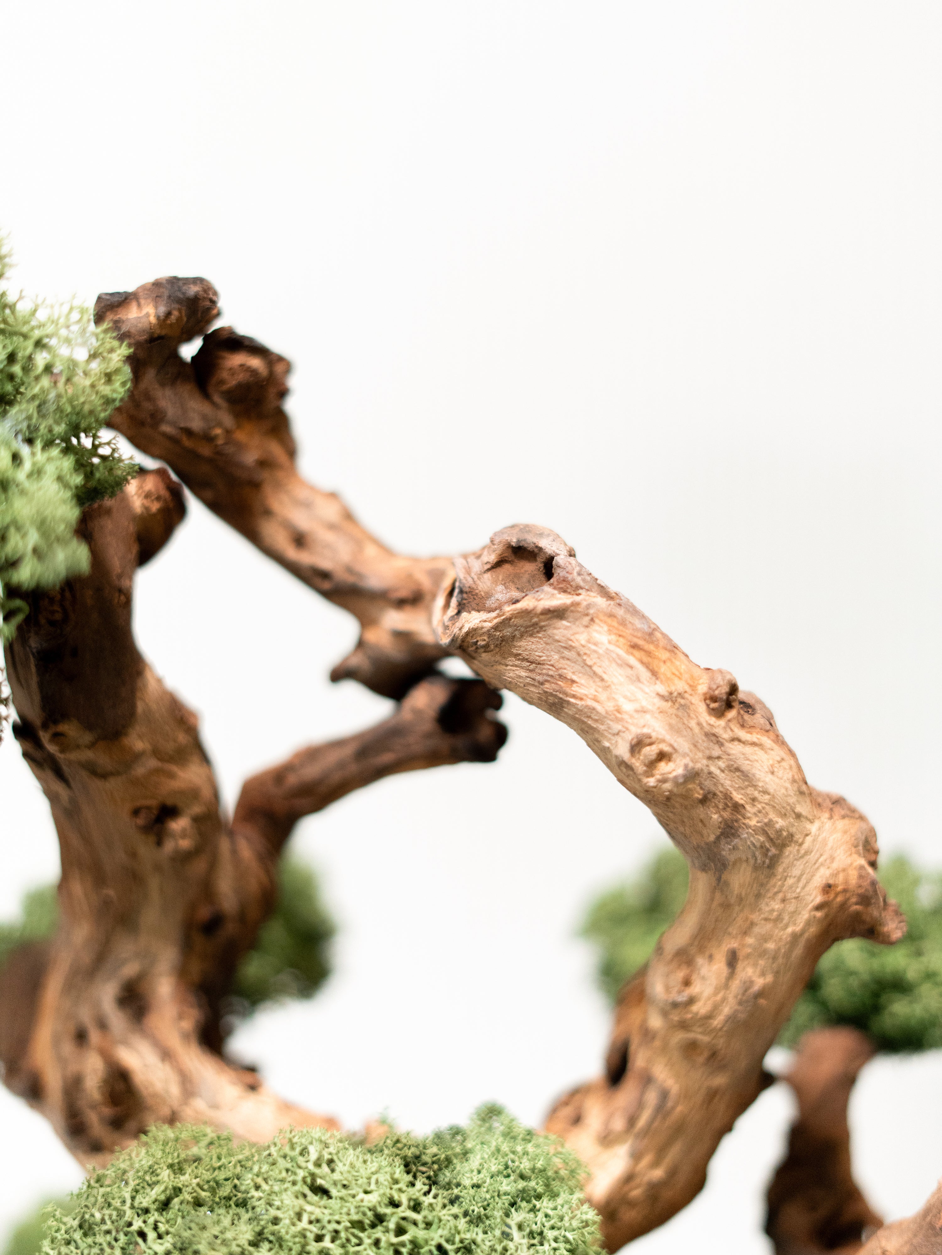 grove_4