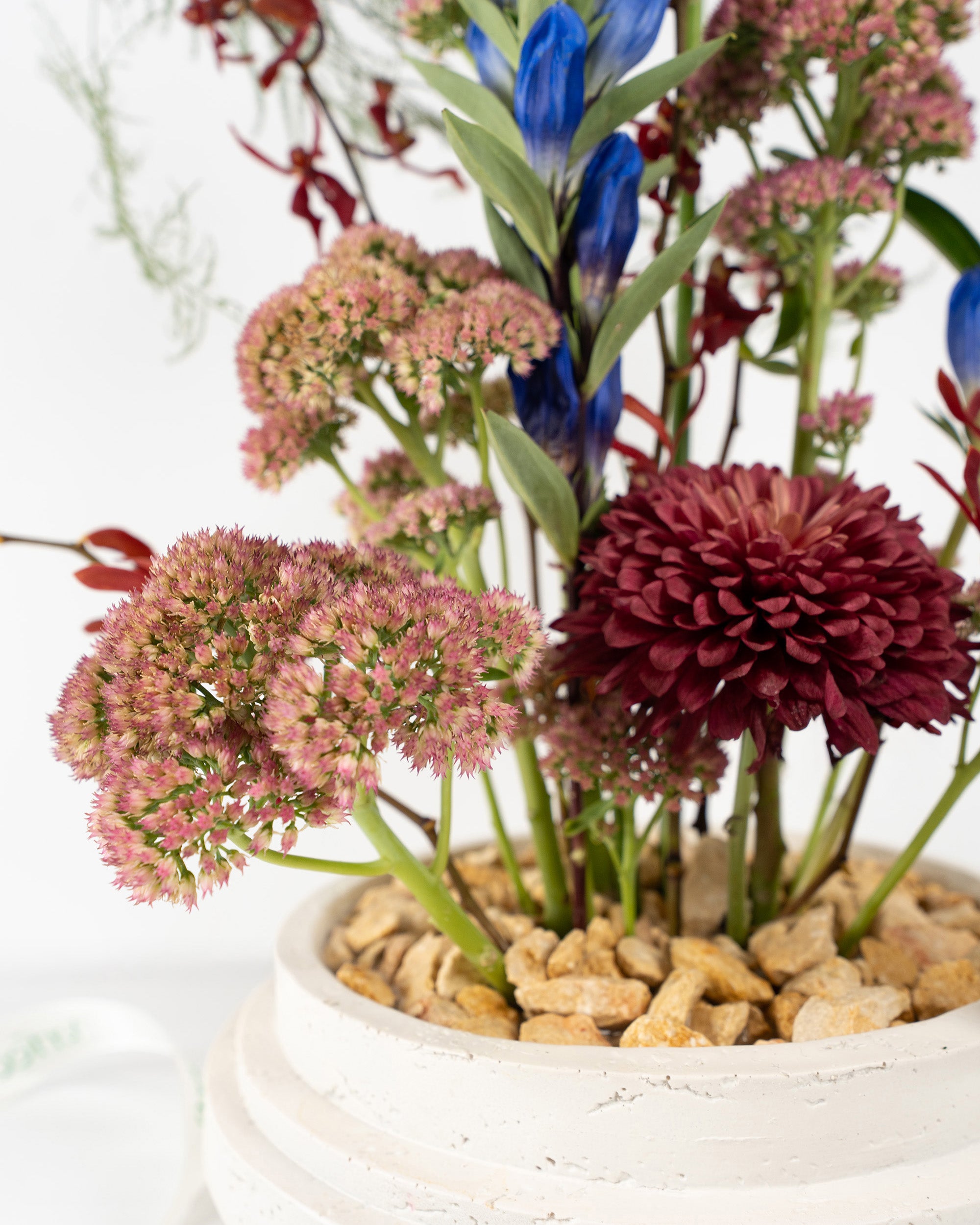 Iki Blooms