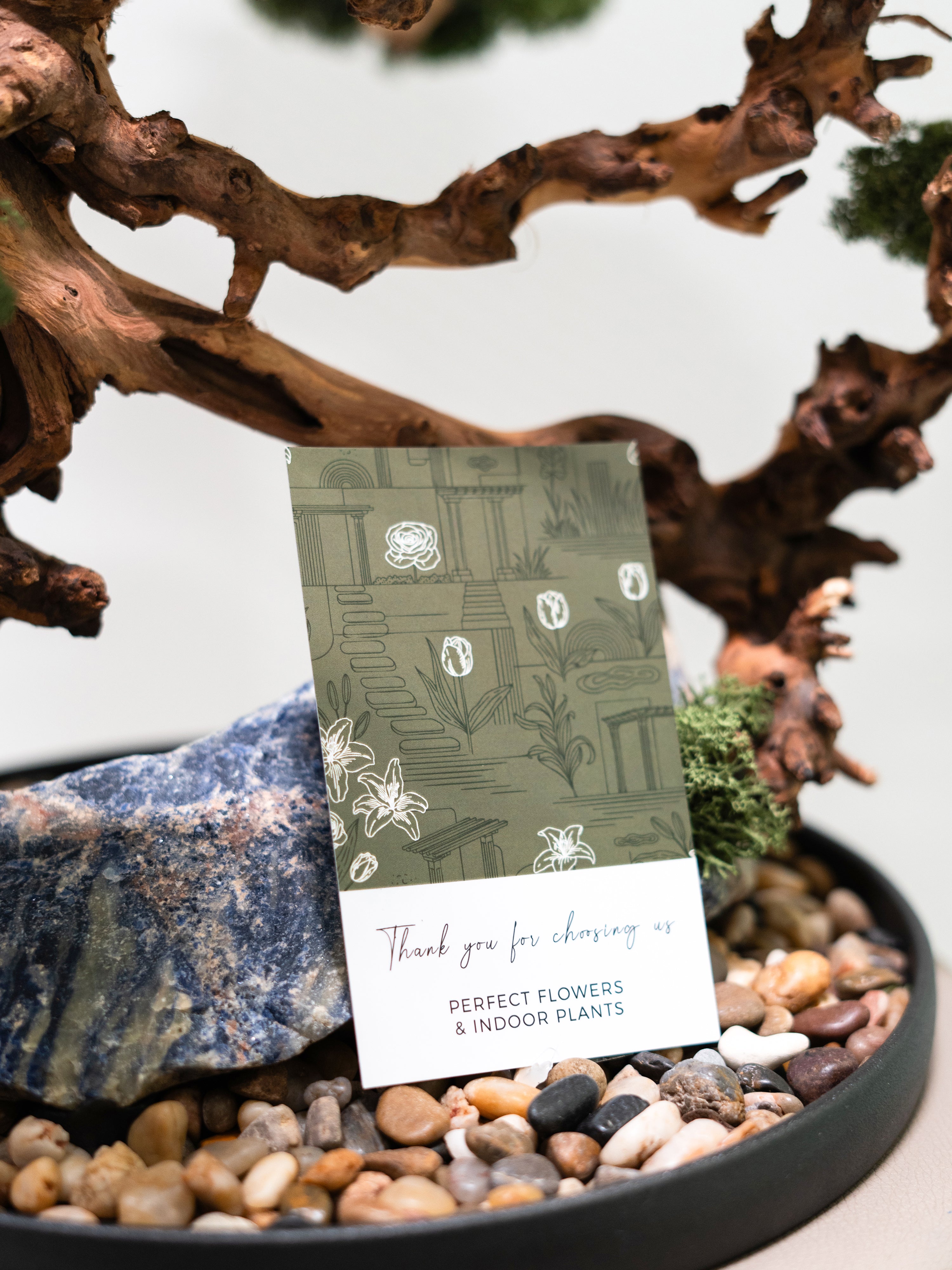 kanso-tree_3