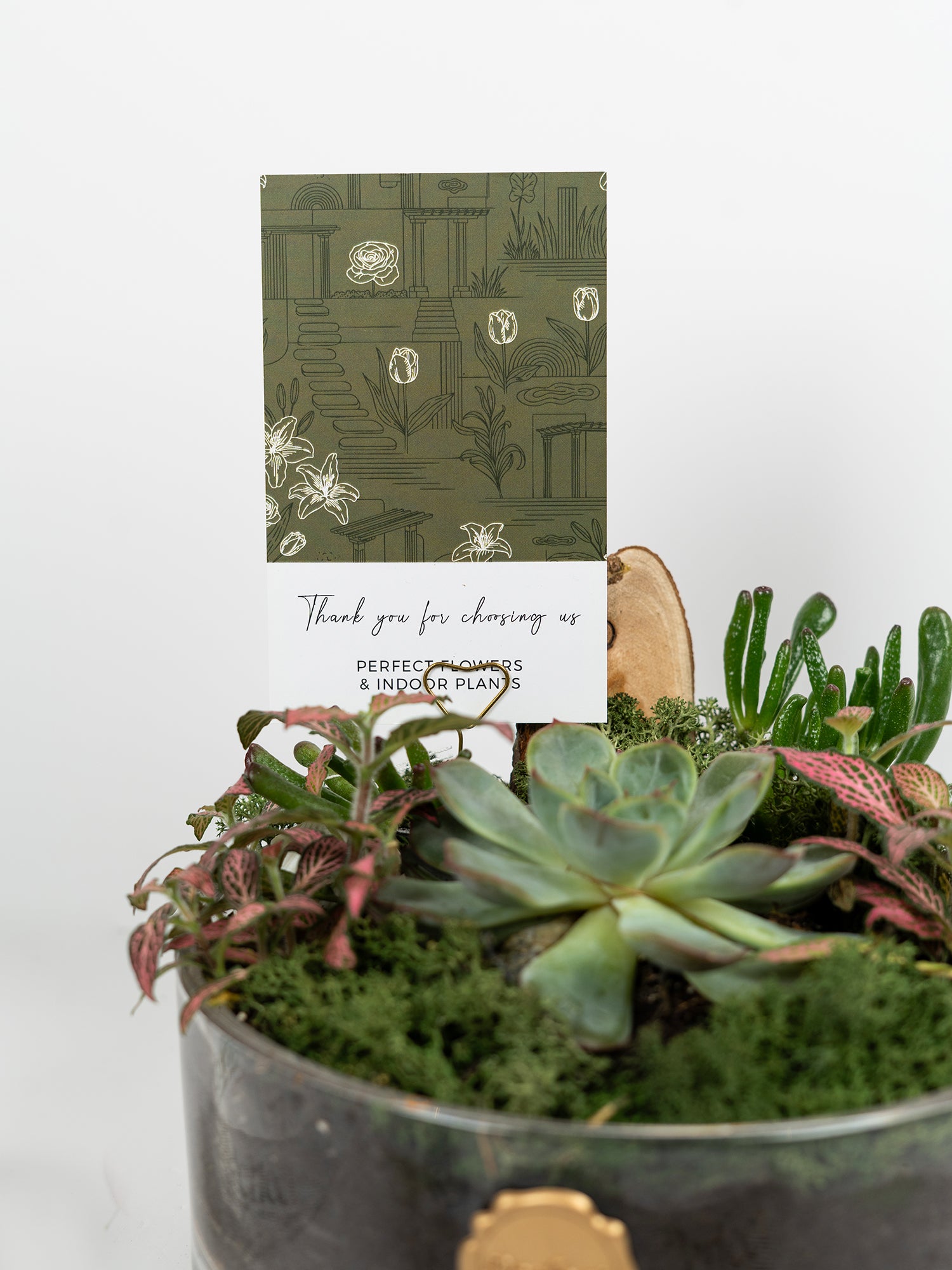 living-moss_4