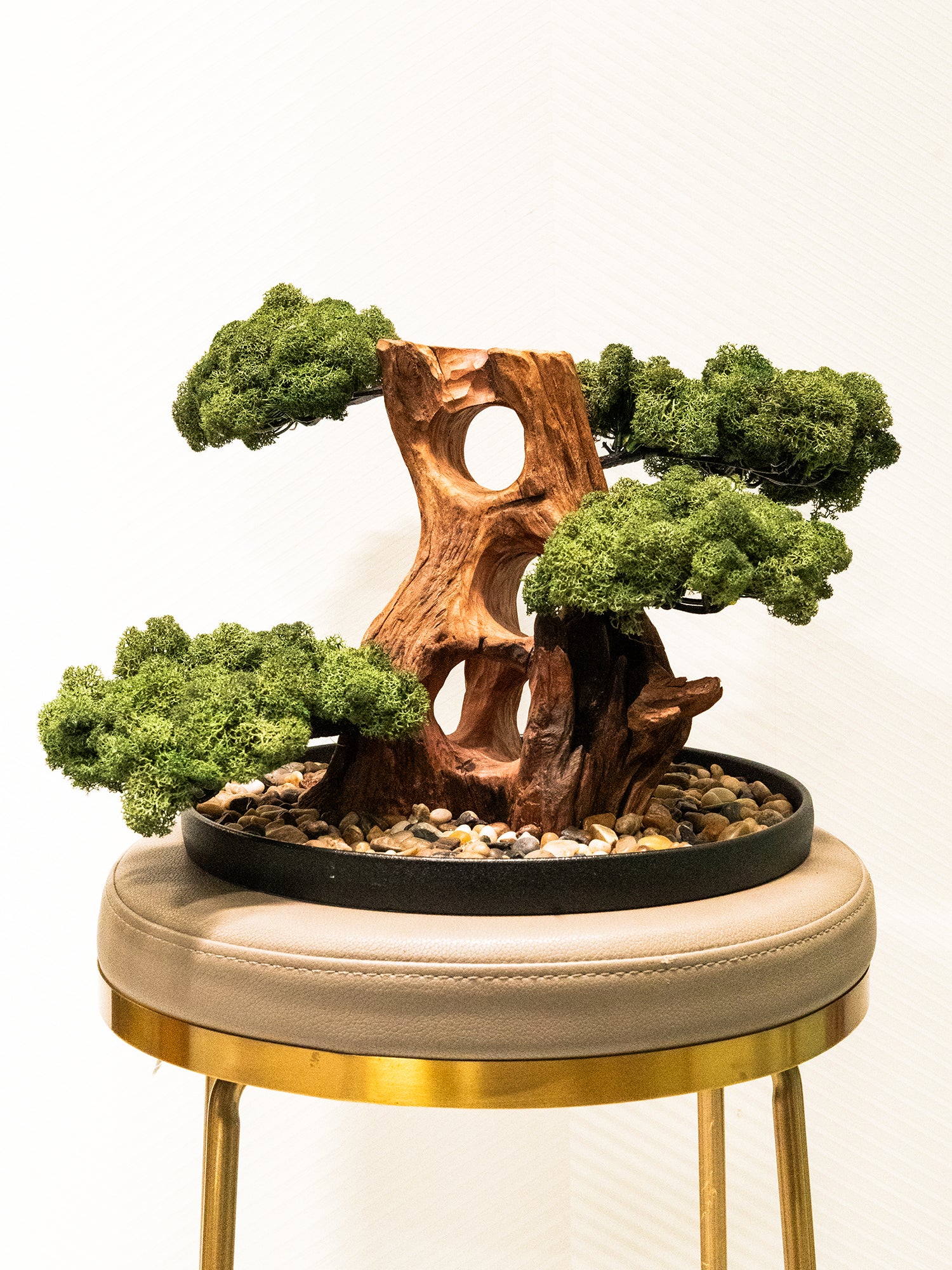 Maison Bonsai