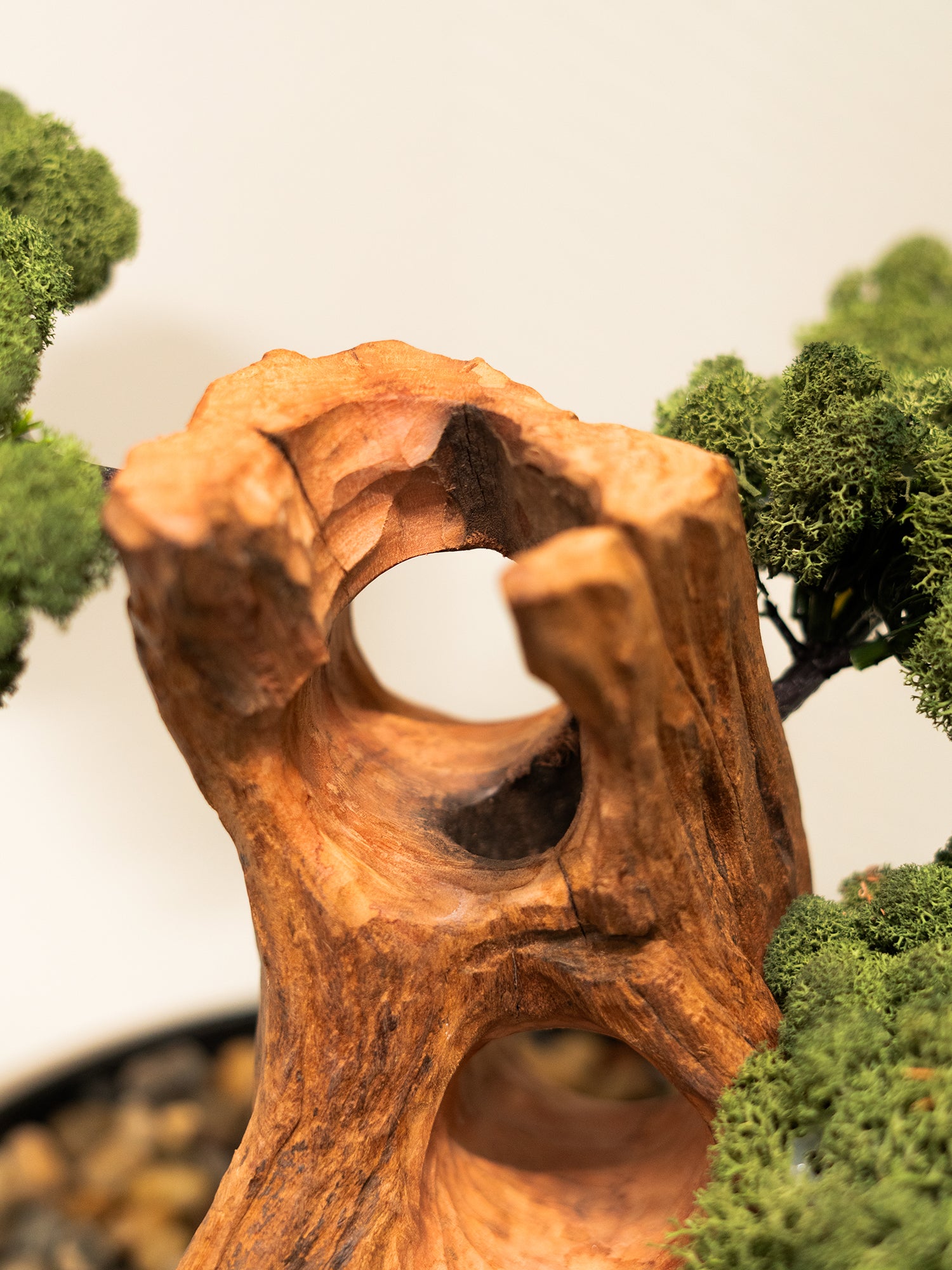 maison-bonsai_5