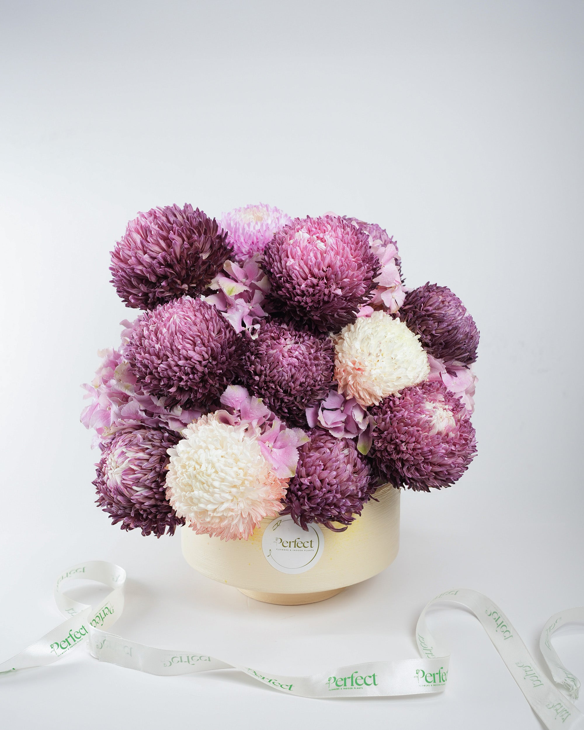indoor plant bouquet Moonlight Fleur