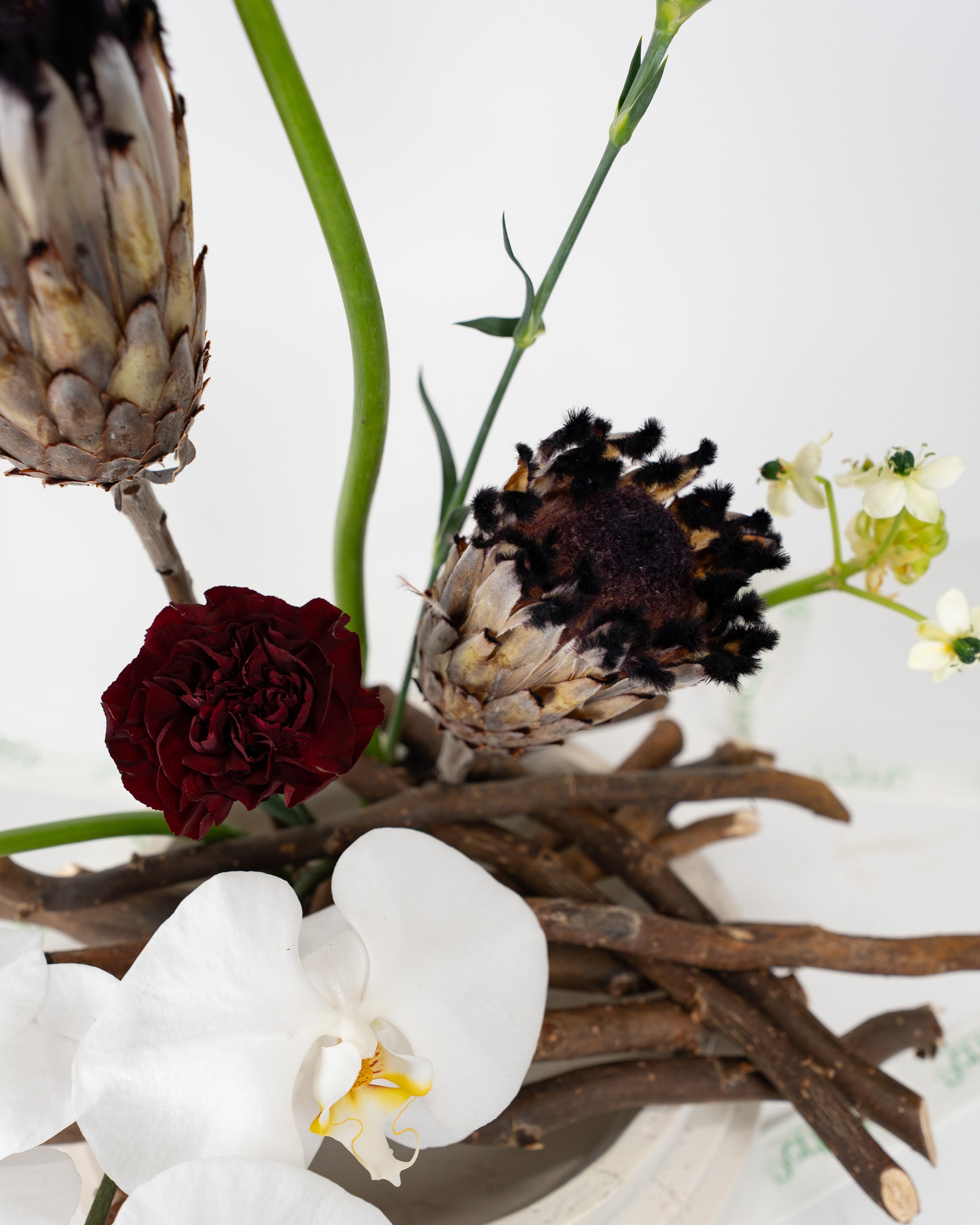 moribana_3