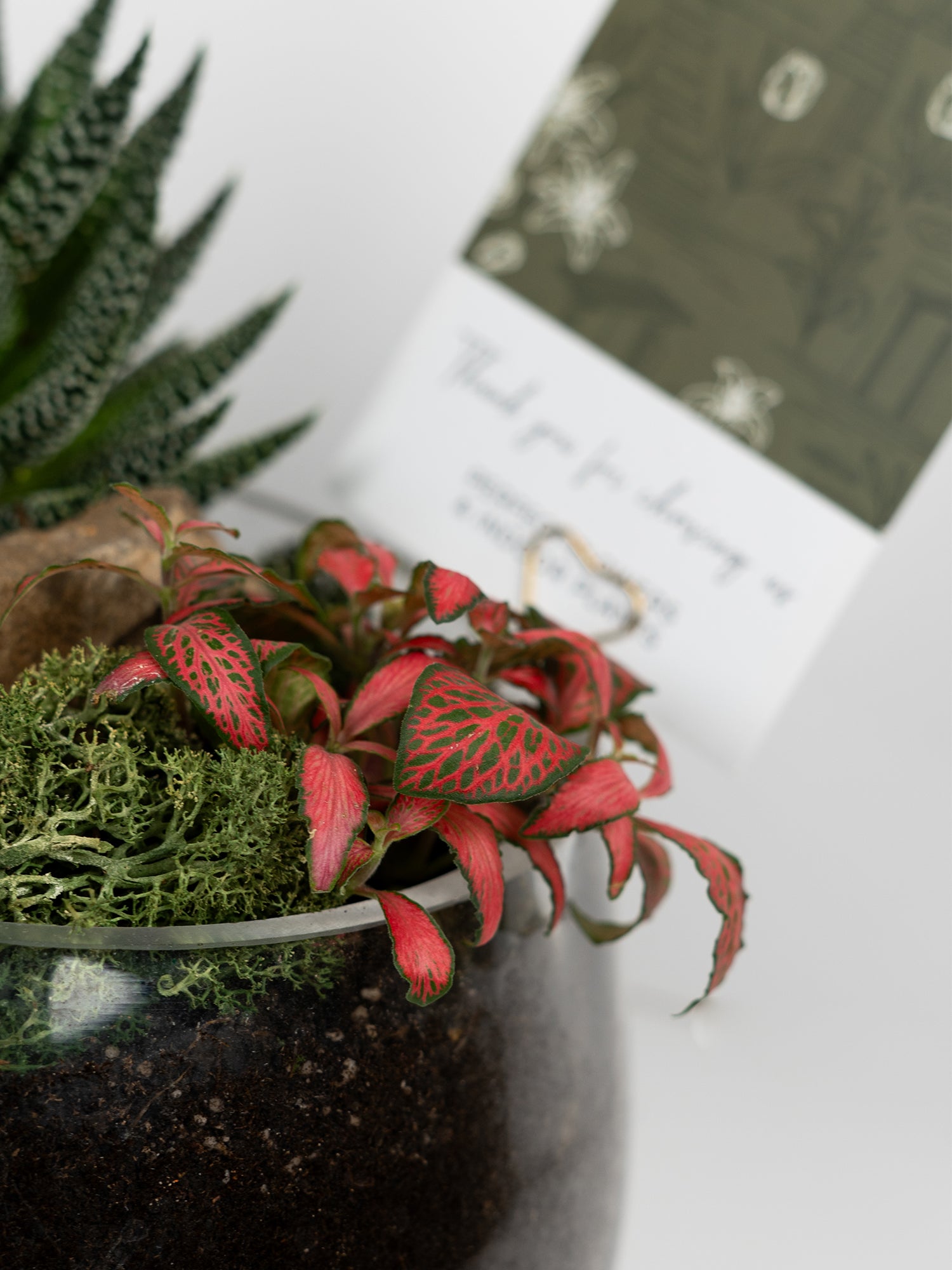 mosswood_4