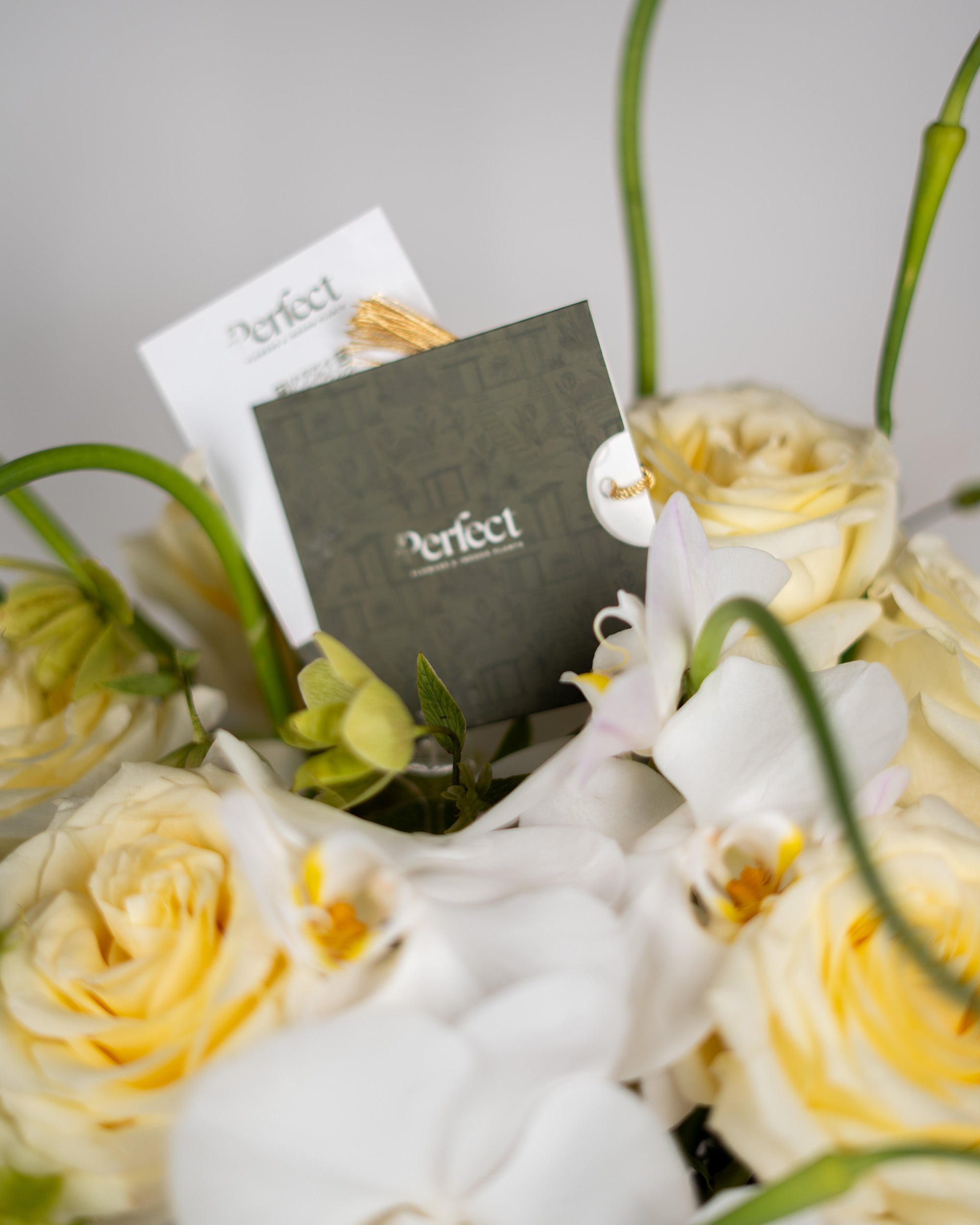 perfect-luxury_3