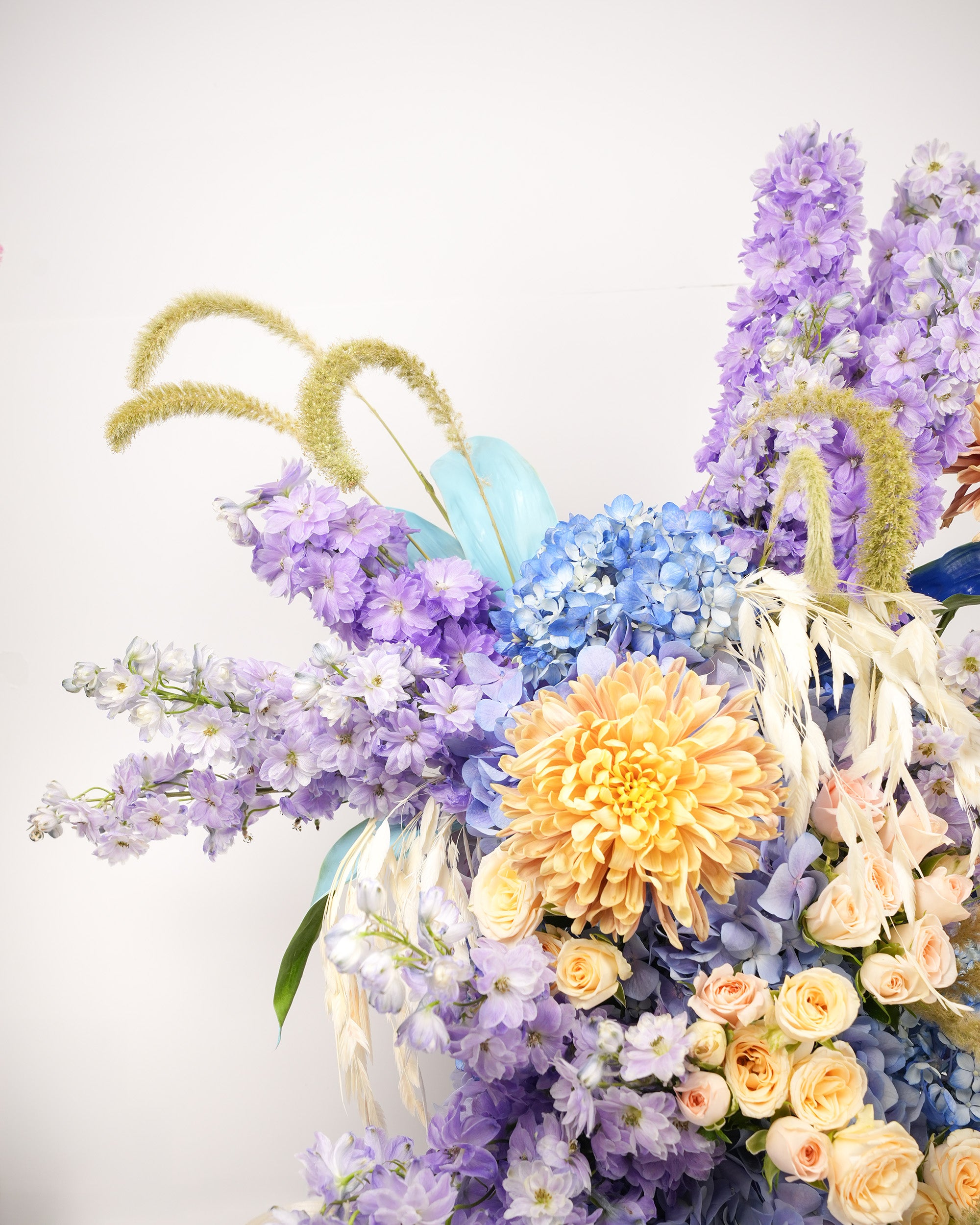 purple-majesty_2