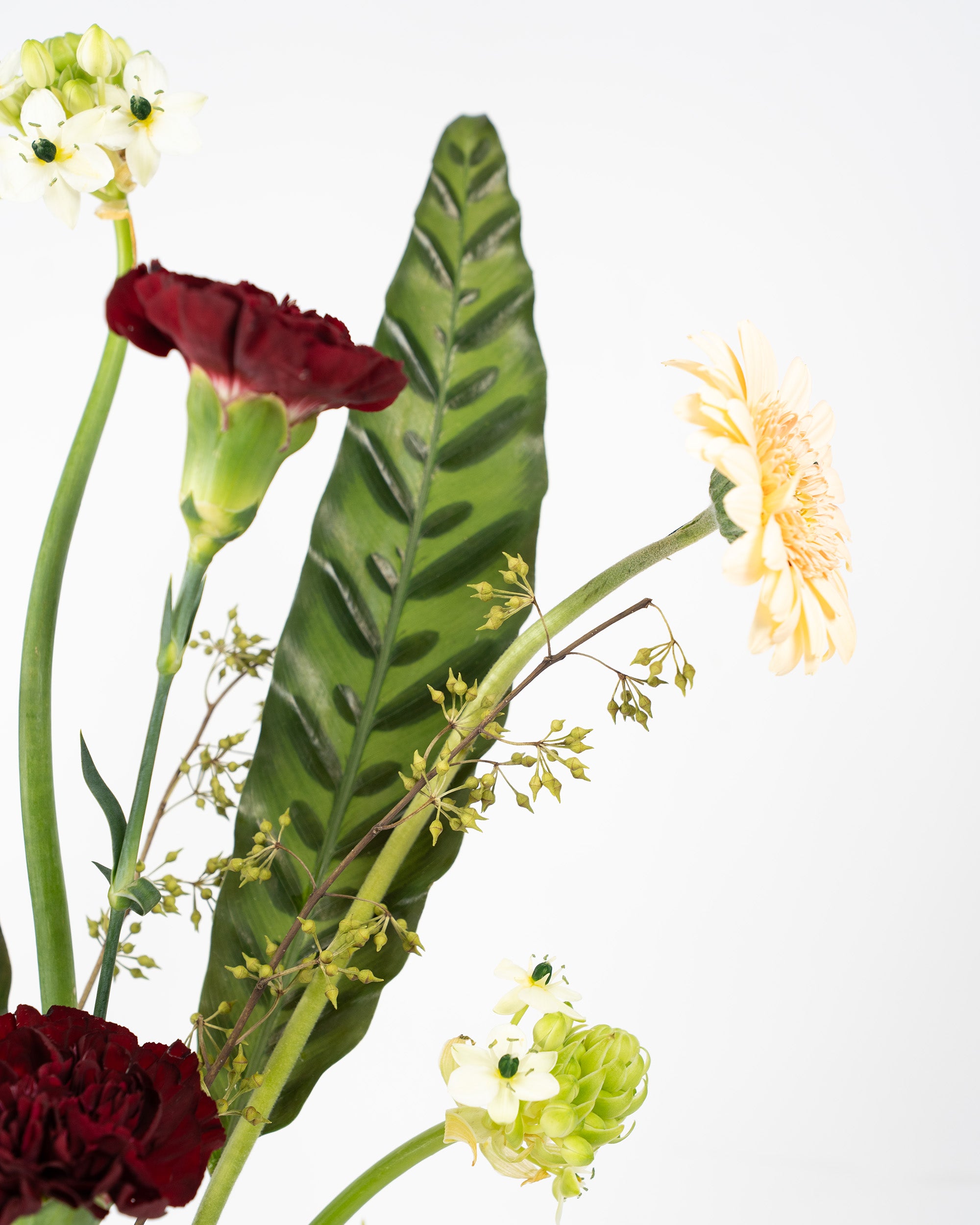 Raise of Blooms