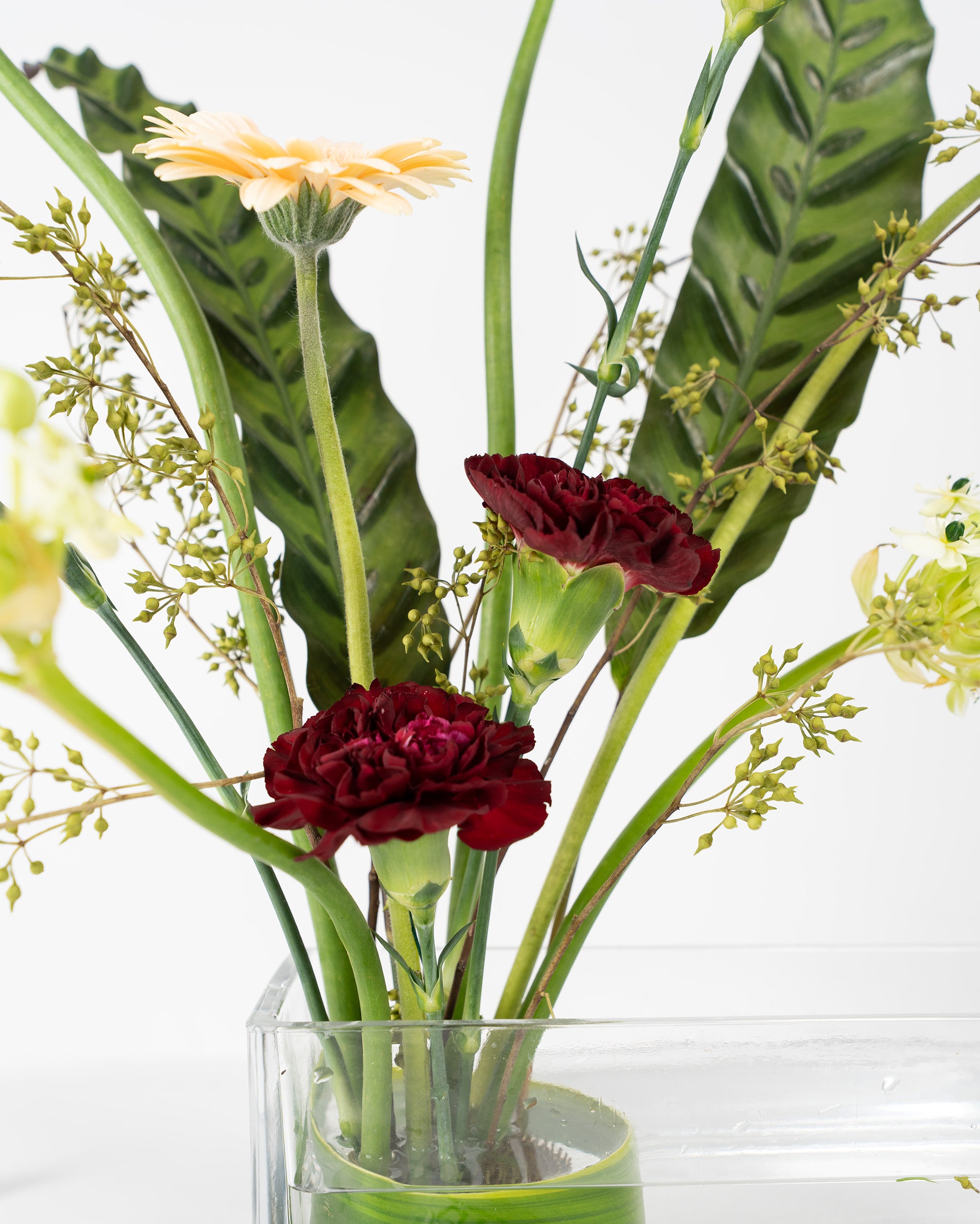 Raise of Blooms