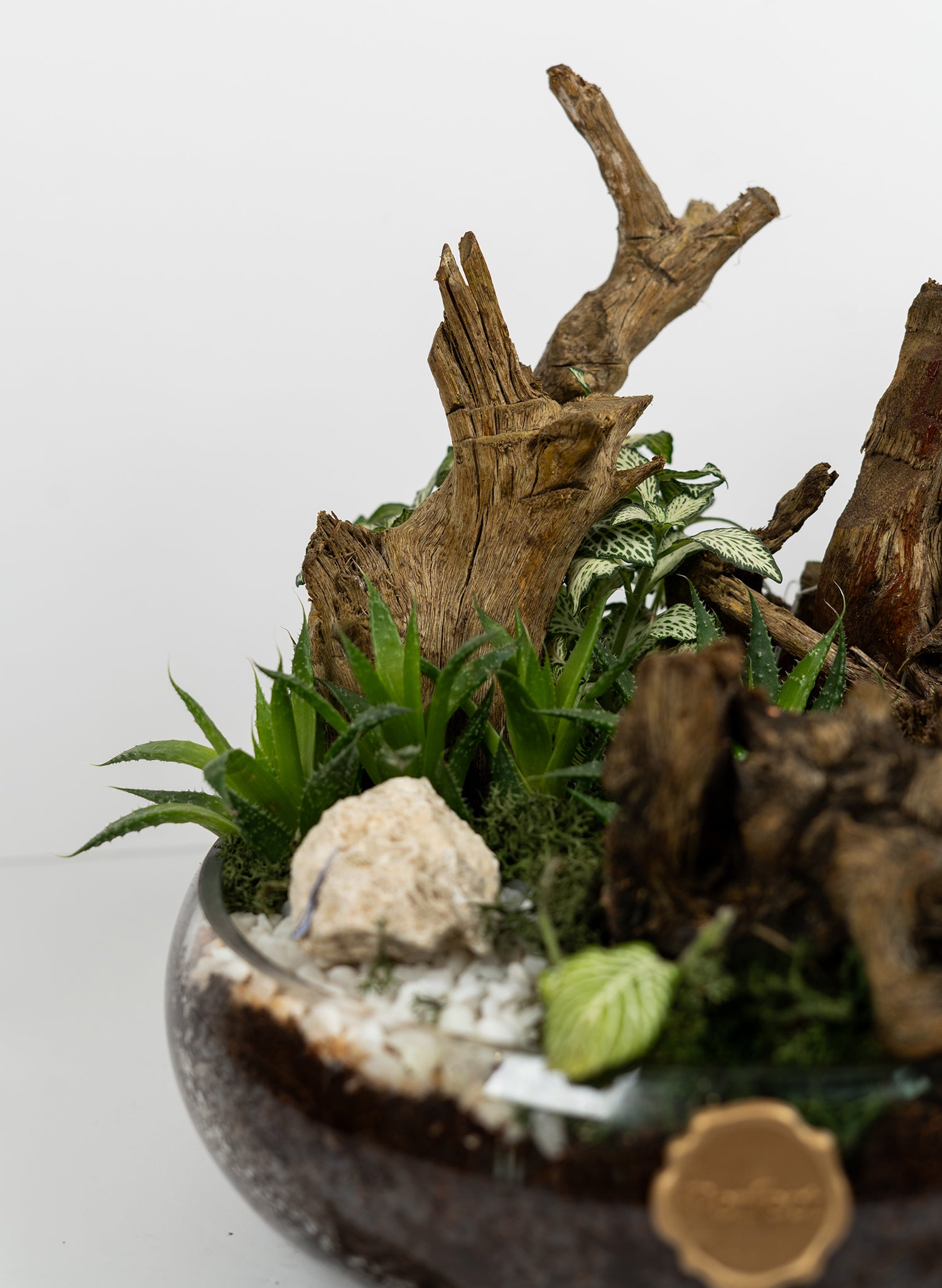 rustic-garden_3