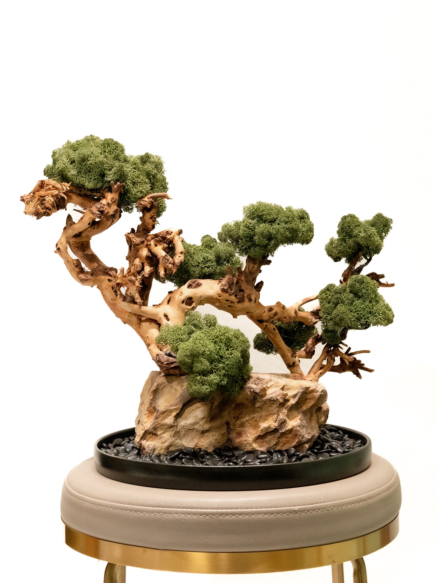 The Living Sculpture