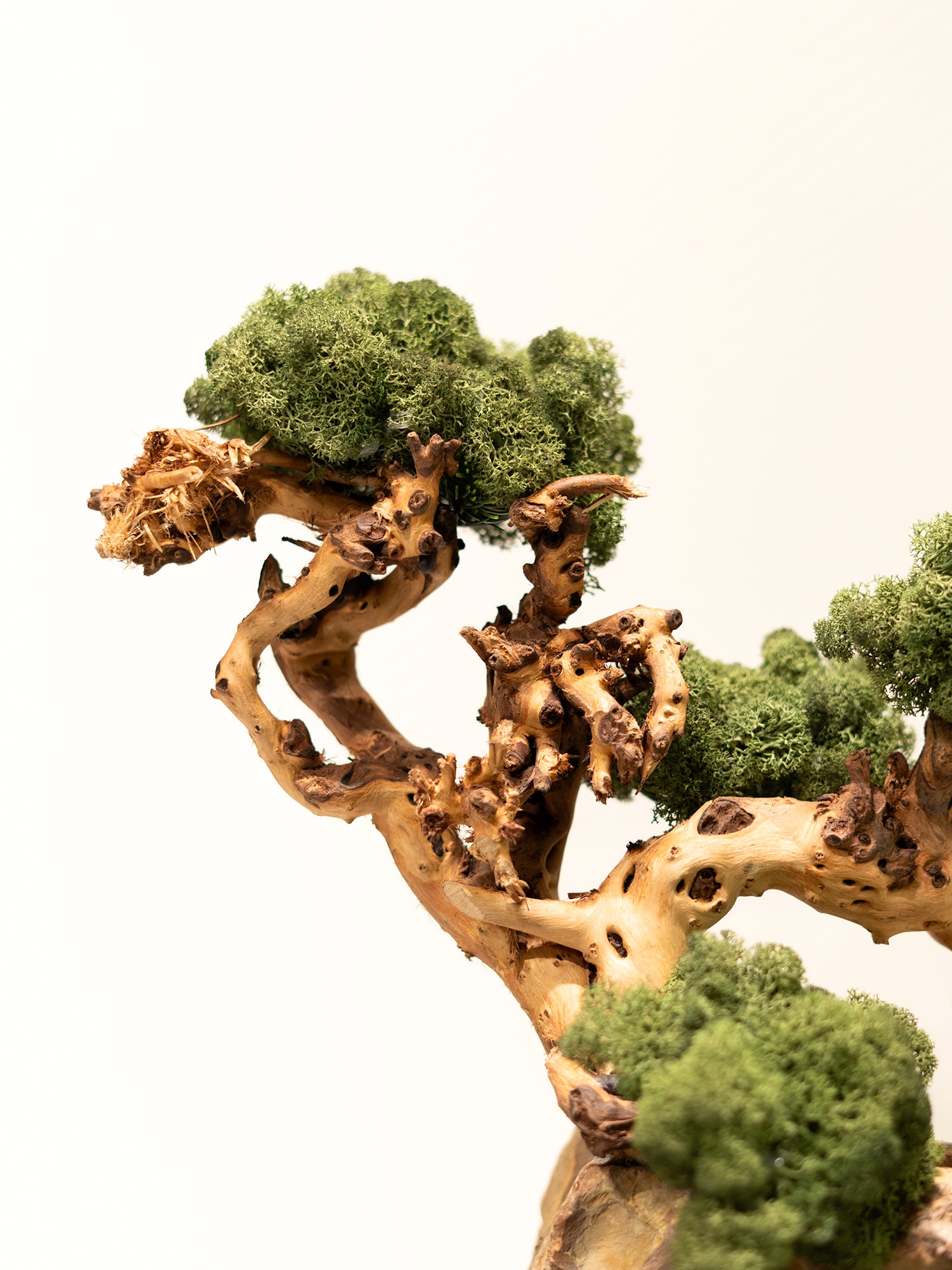 the-living-sculpture_4