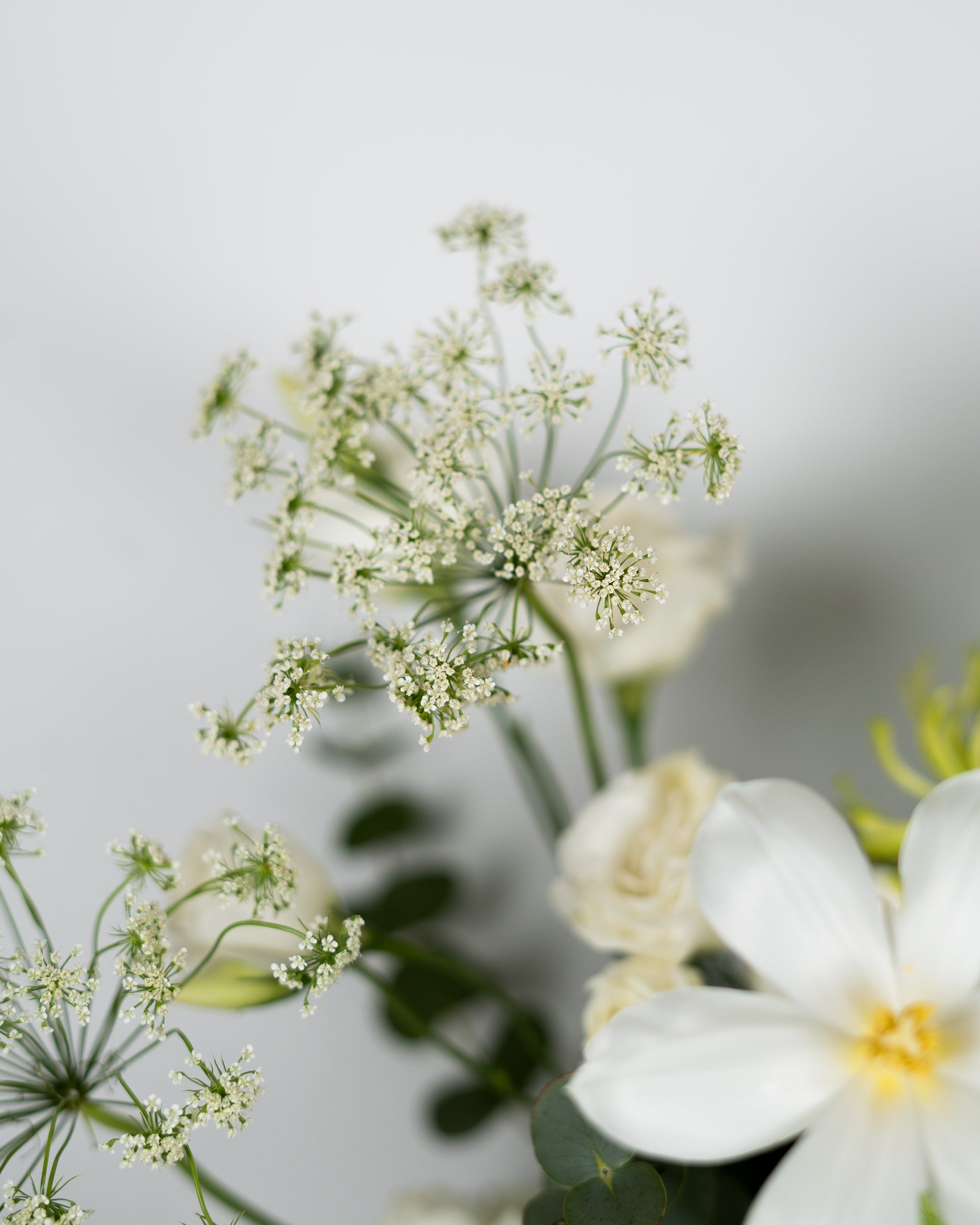 the-prince-garden_5