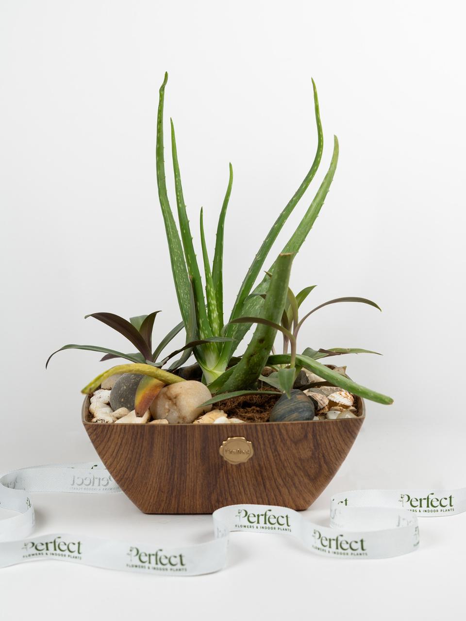 timber-garden_1
