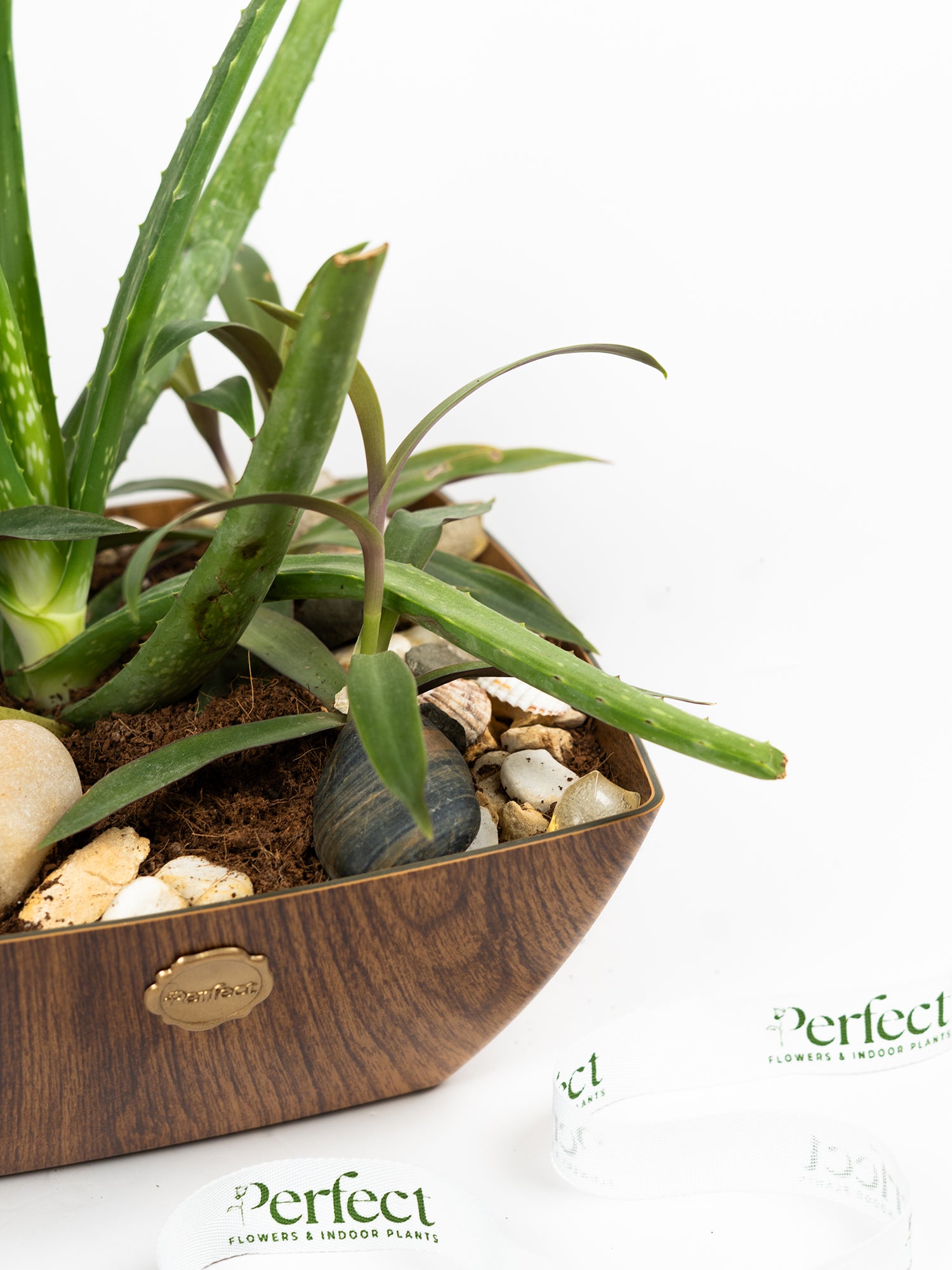 timber-garden_2