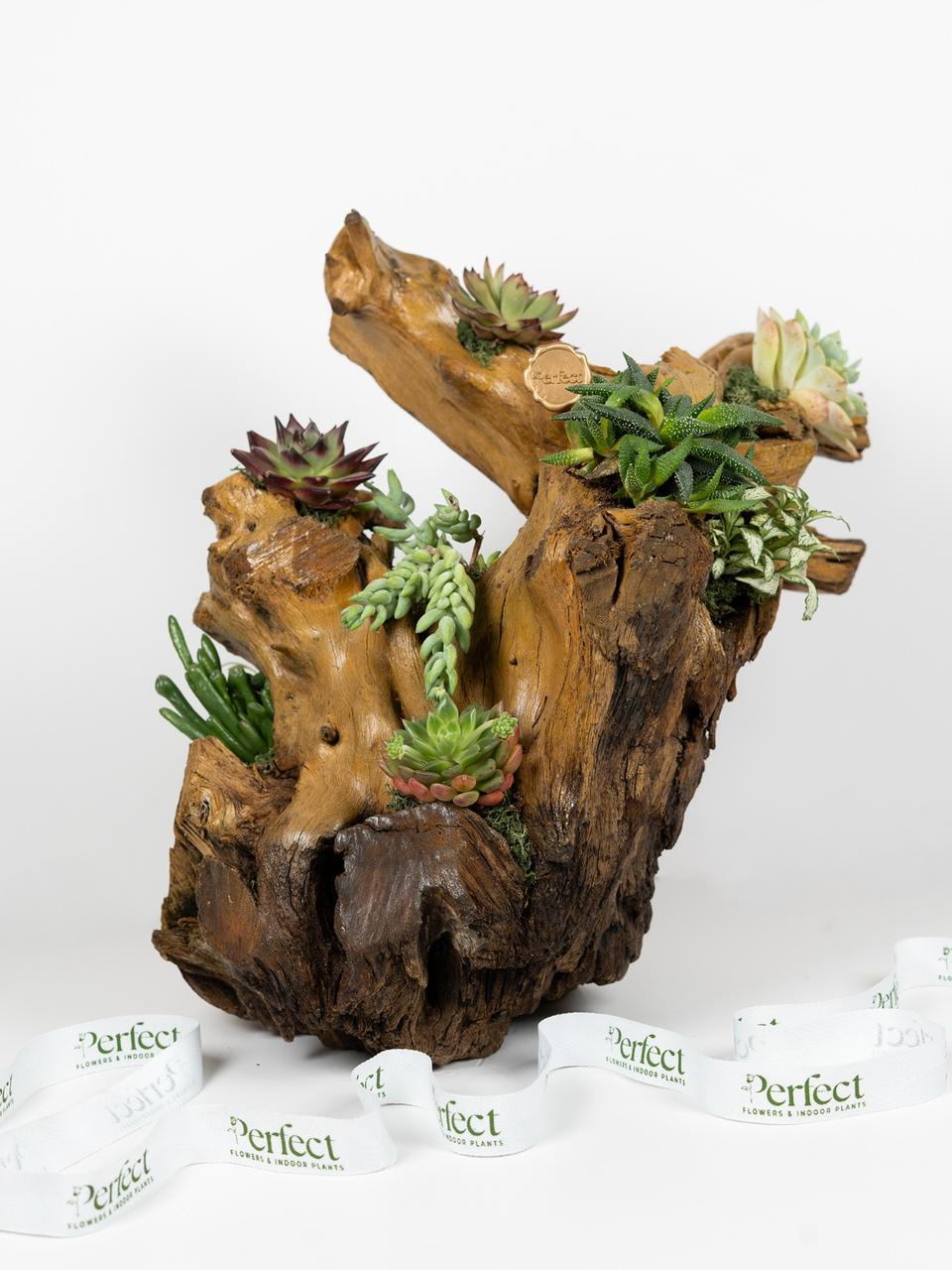 woodbloom_1