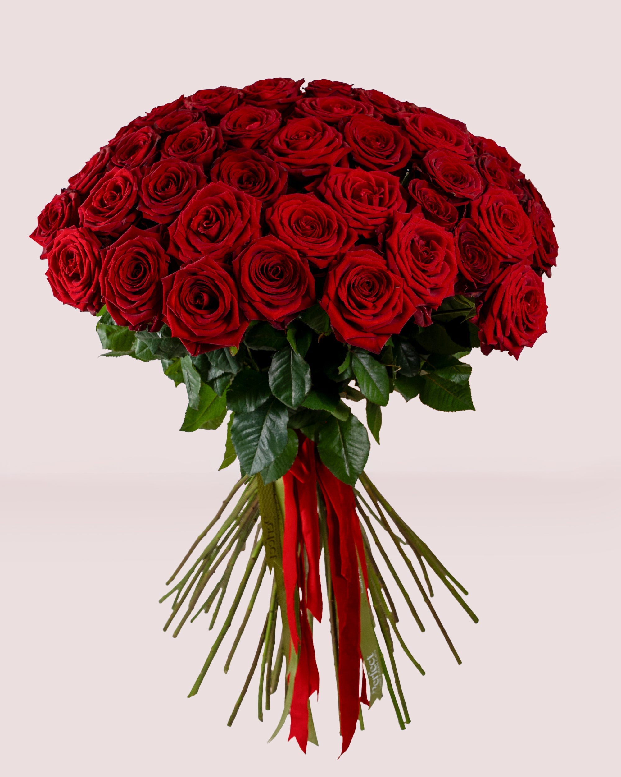 Valentine’s Day Flowers in Dubai | Celebrate Love with Elegance