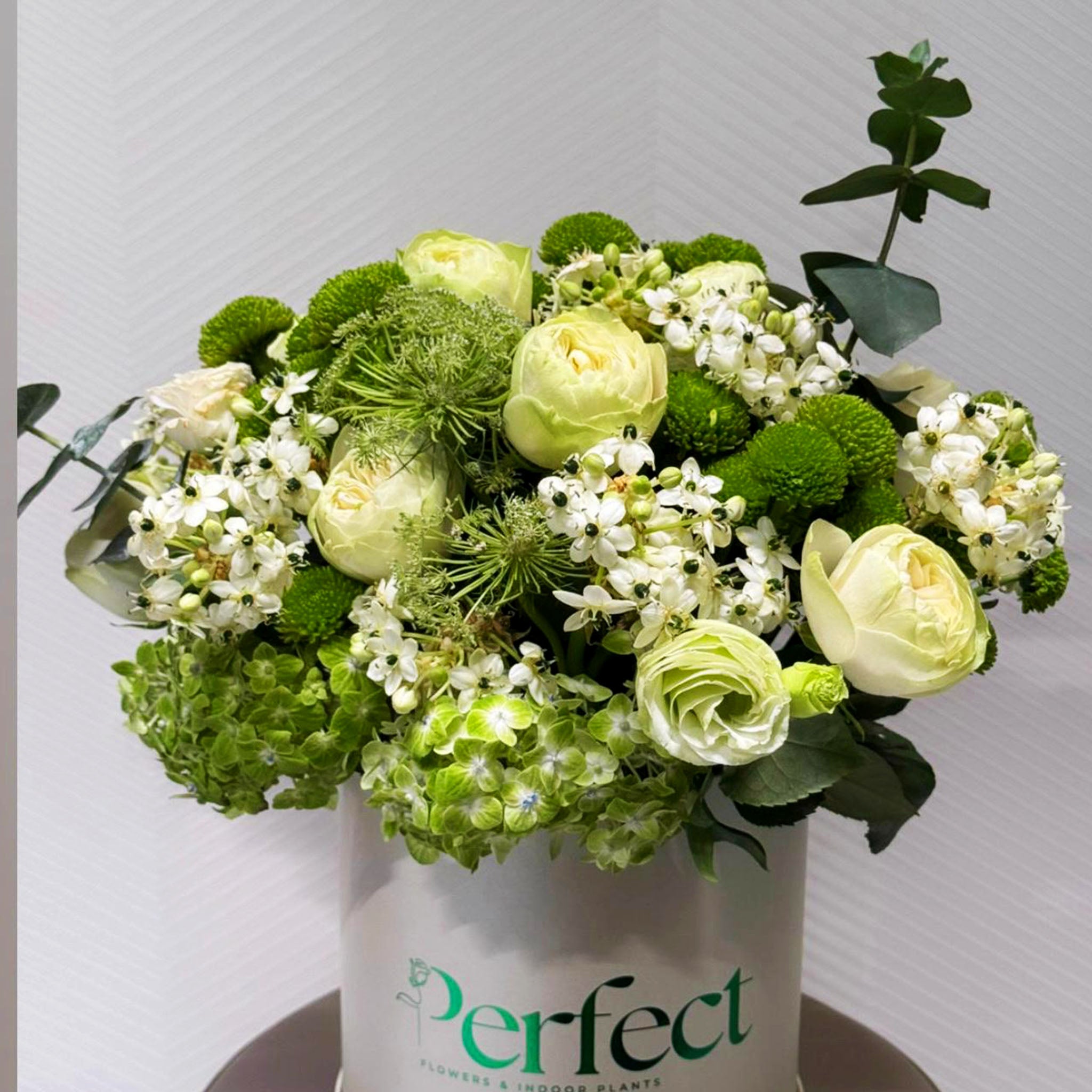 Green Garden Box