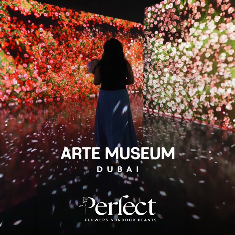 Valentine’s Workshop at ARTE MUSEUM