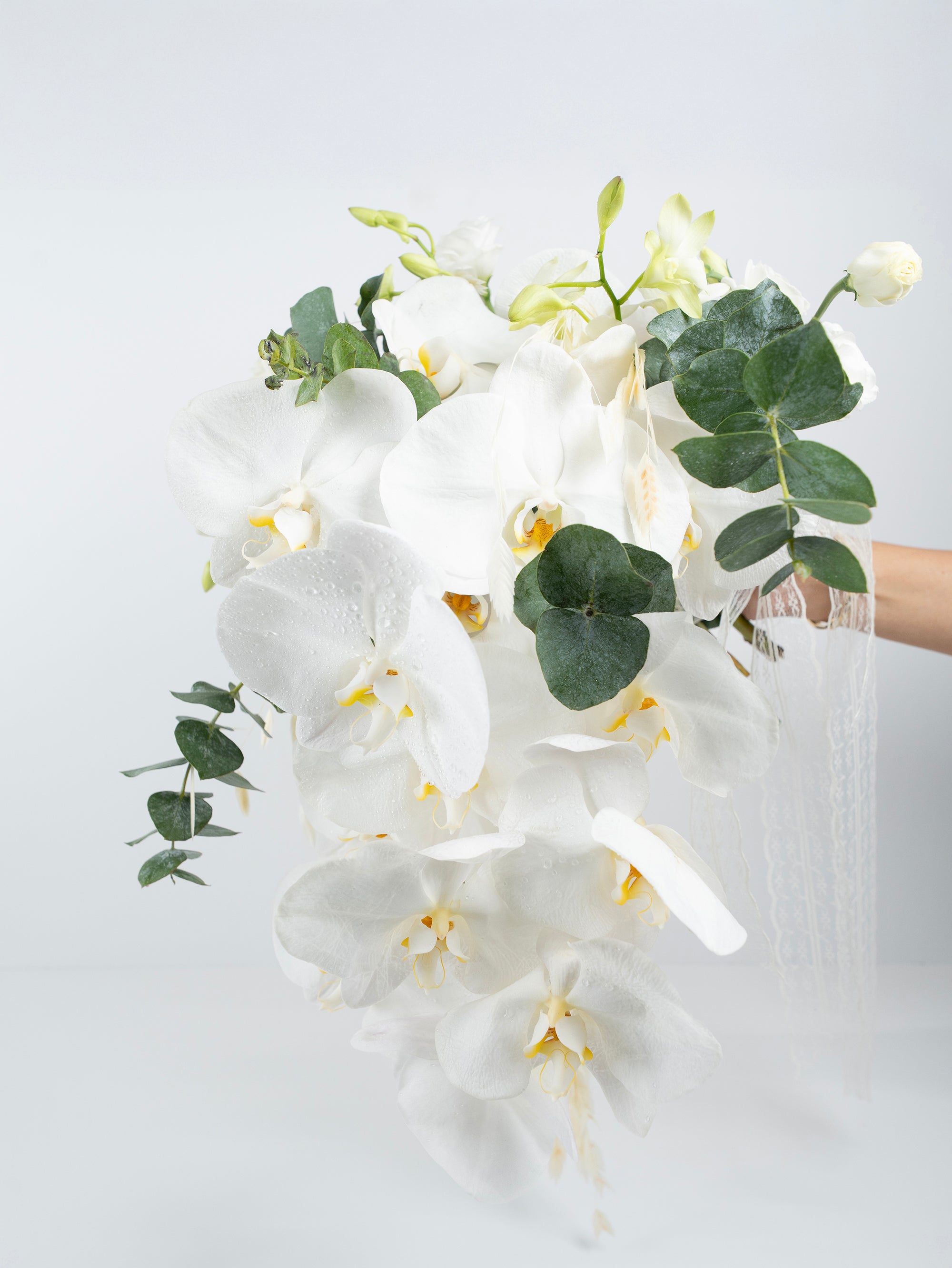 Promise in Petals
