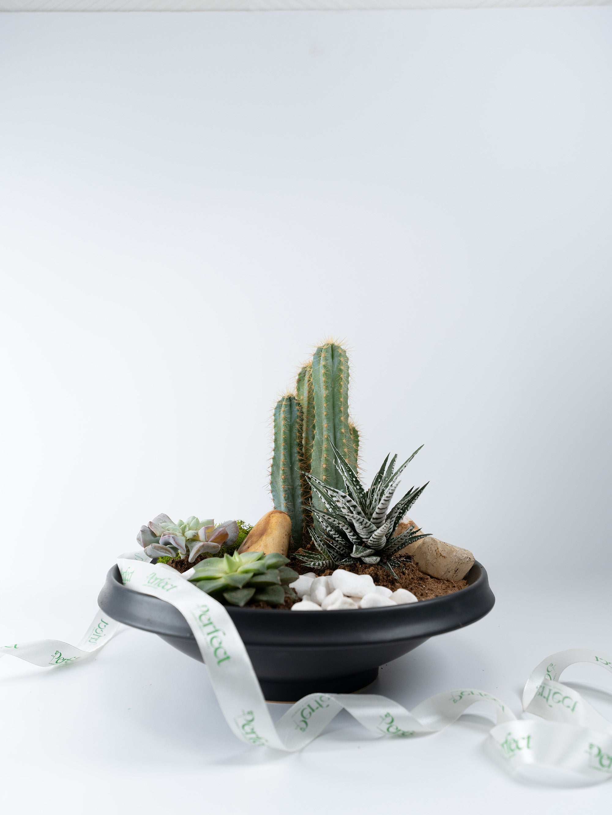 Desert Elegance