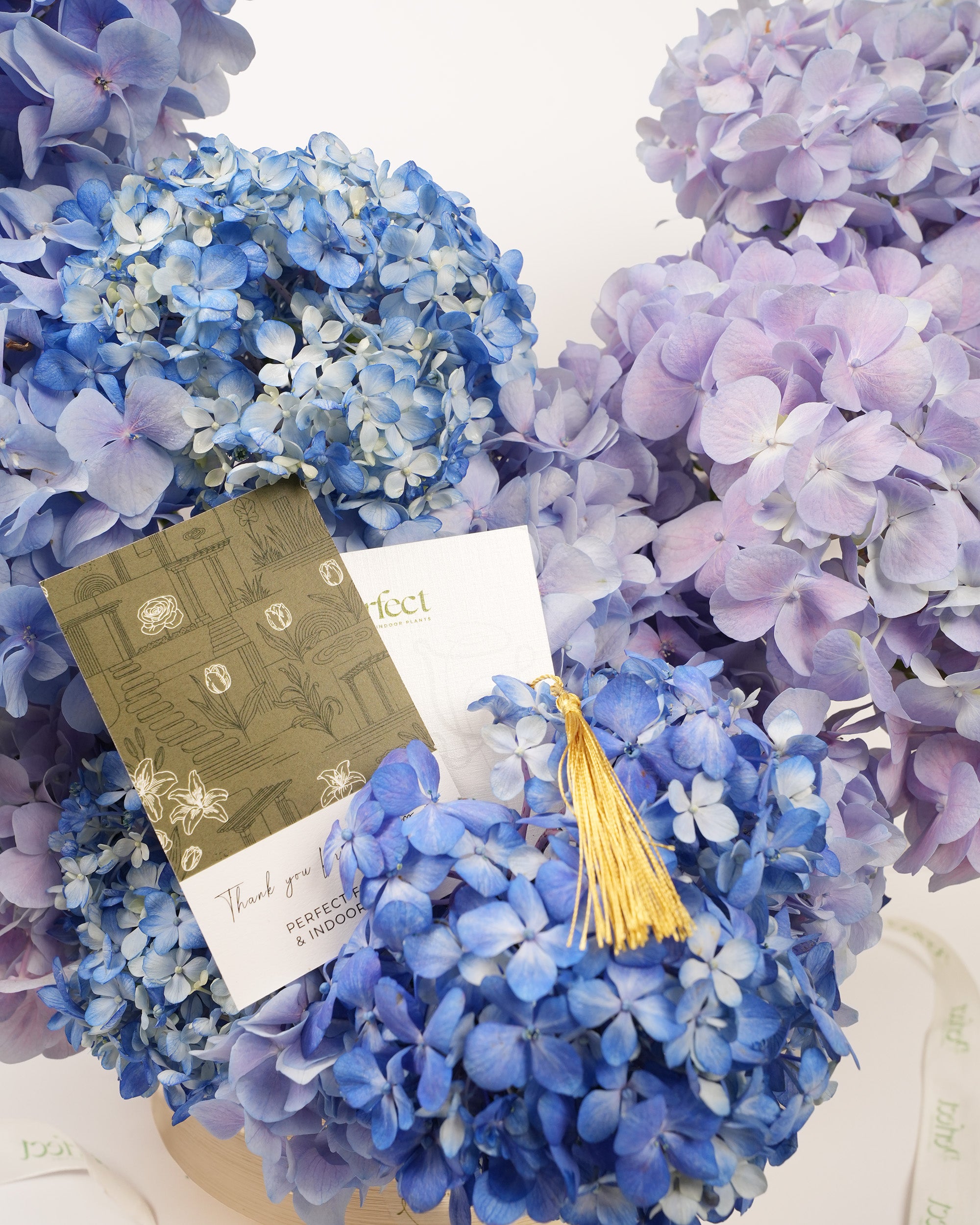 Royal Hydrangea Bloom