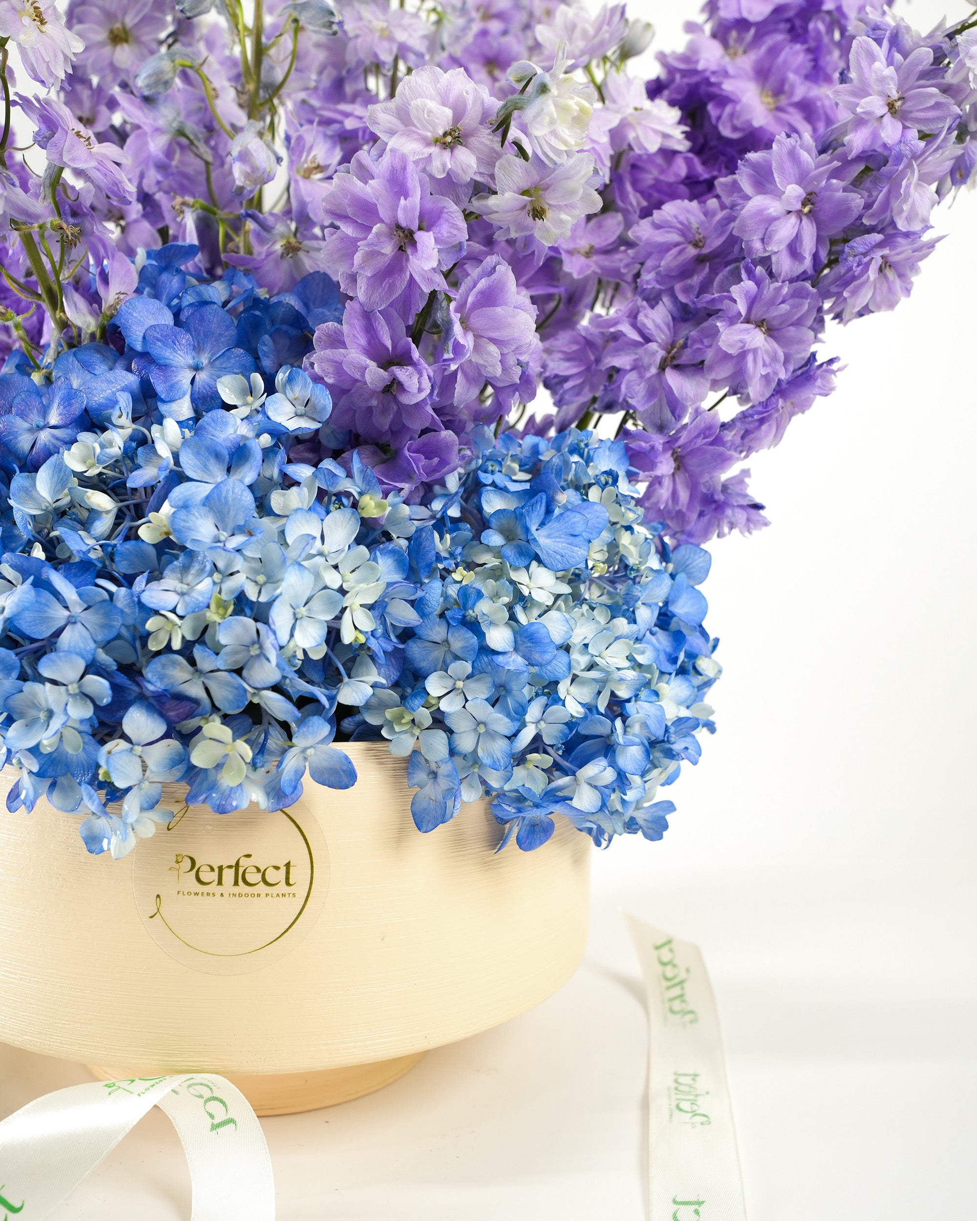 amour-en-violet_3