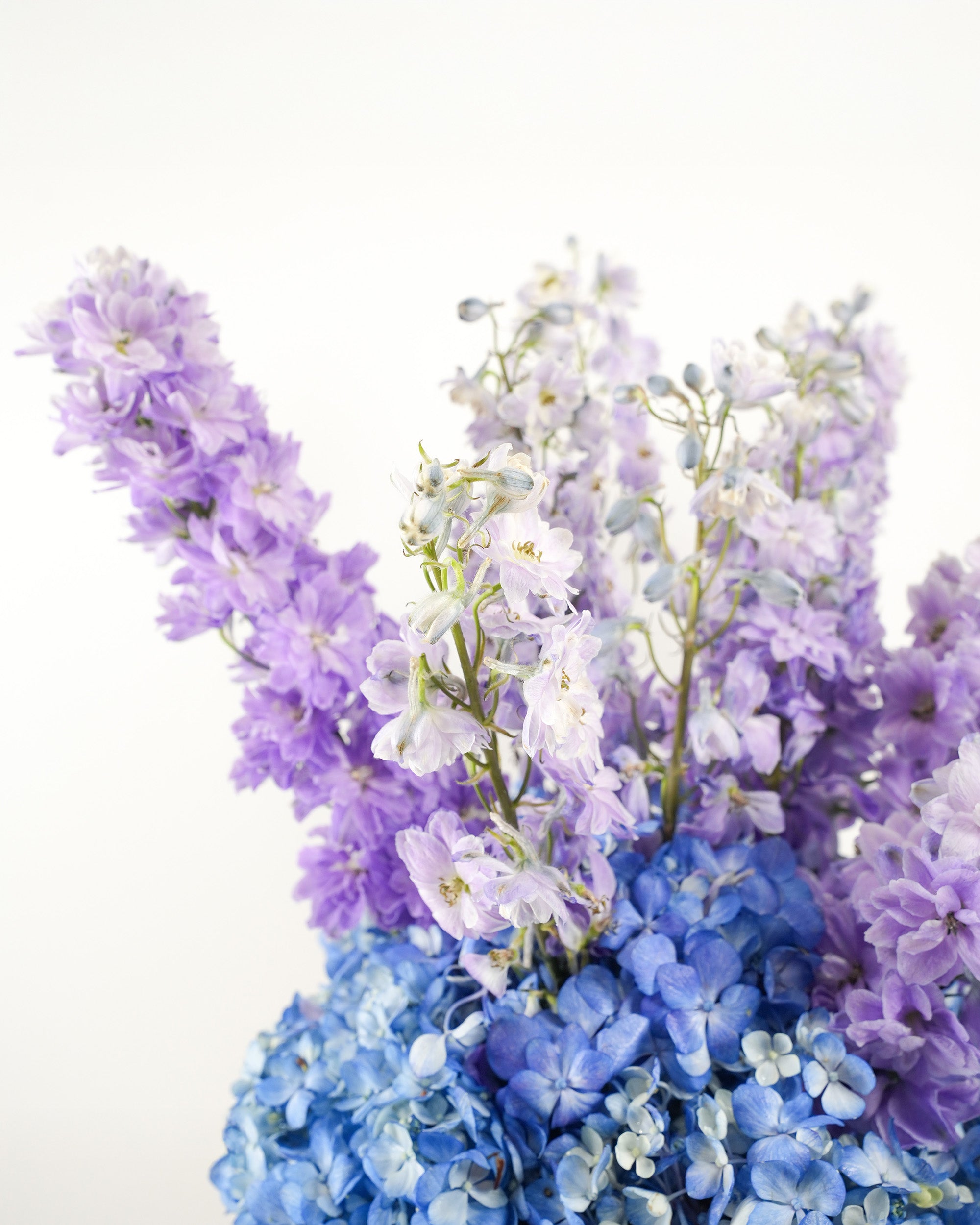 amour-en-violet_4
