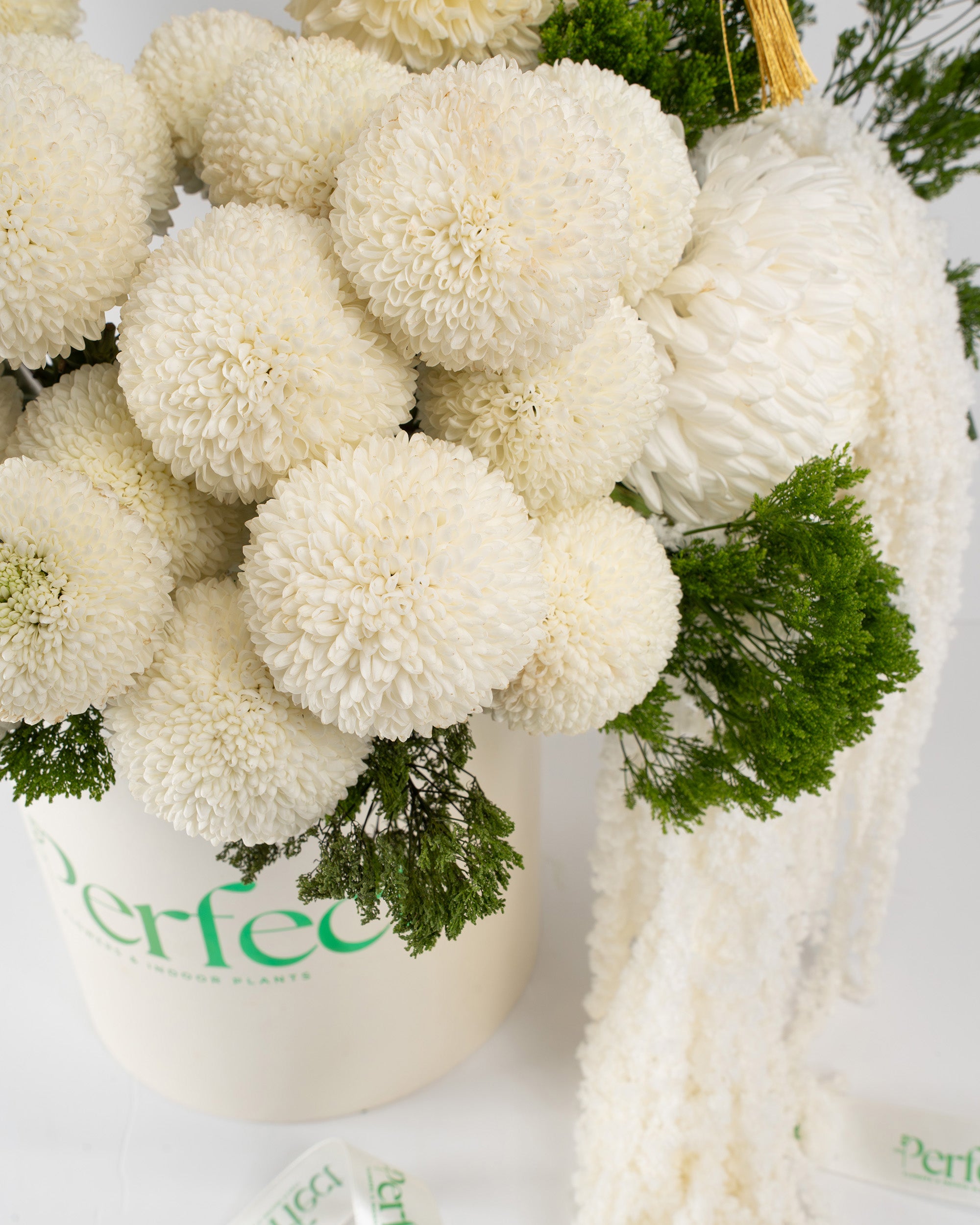 Antique White