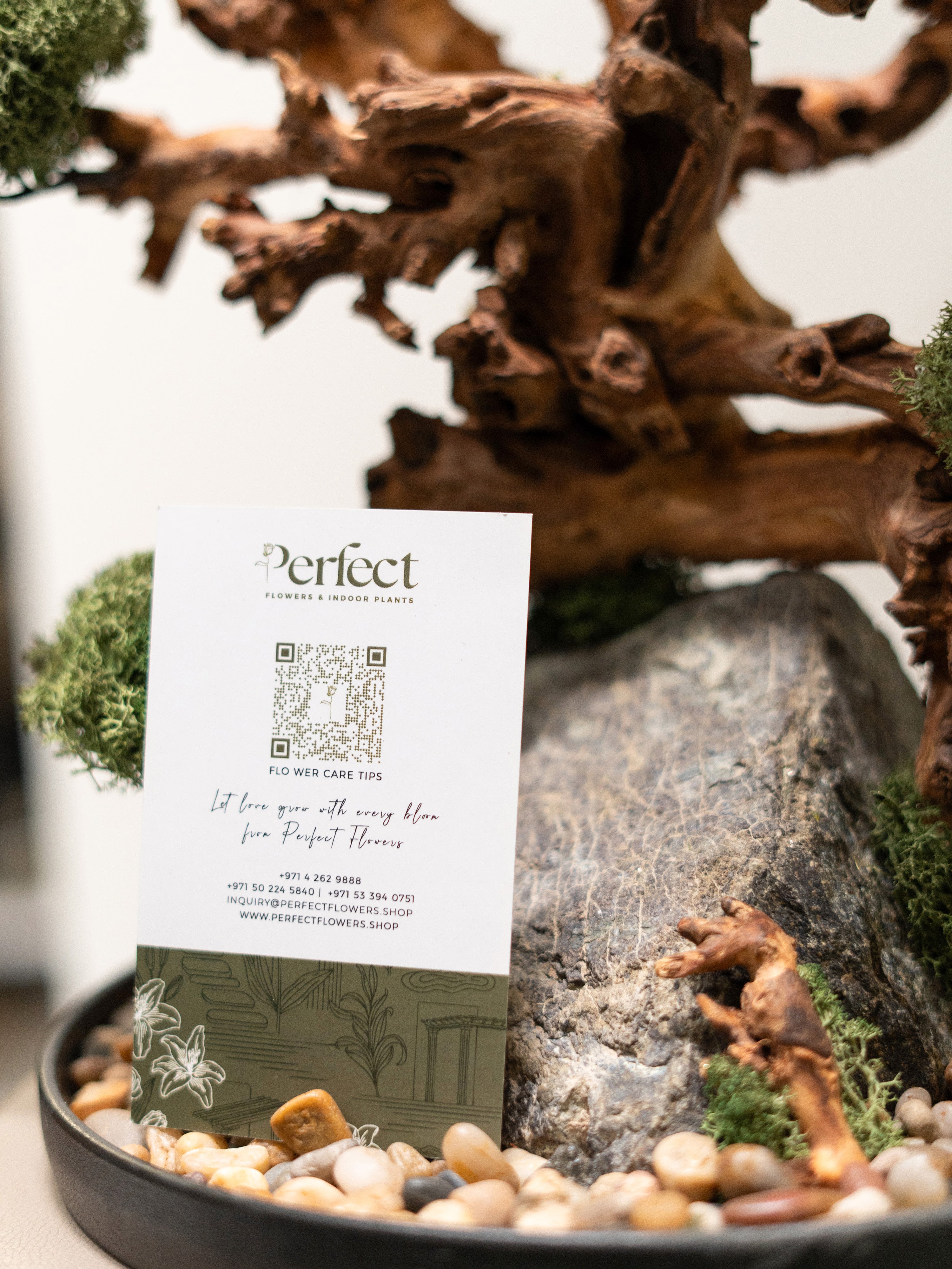bonsai-house_3