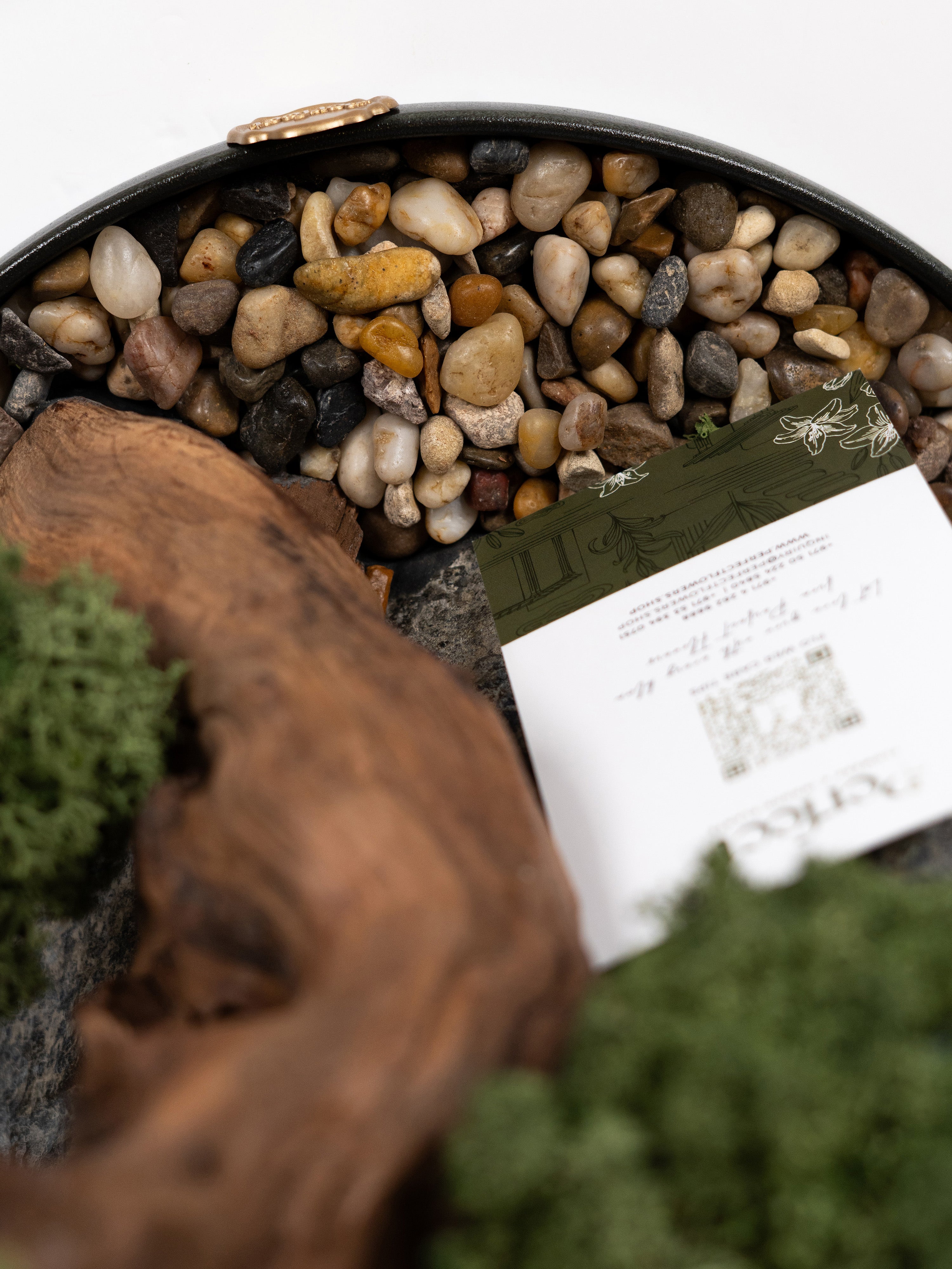 bonsai-touch_6