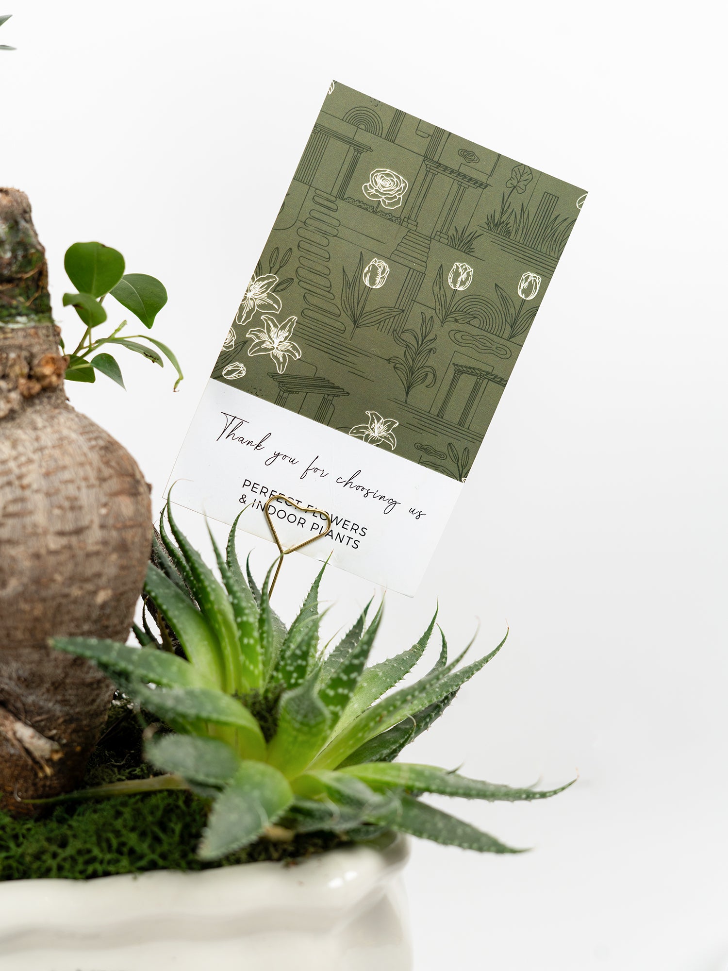 botanical-sanctuary_2