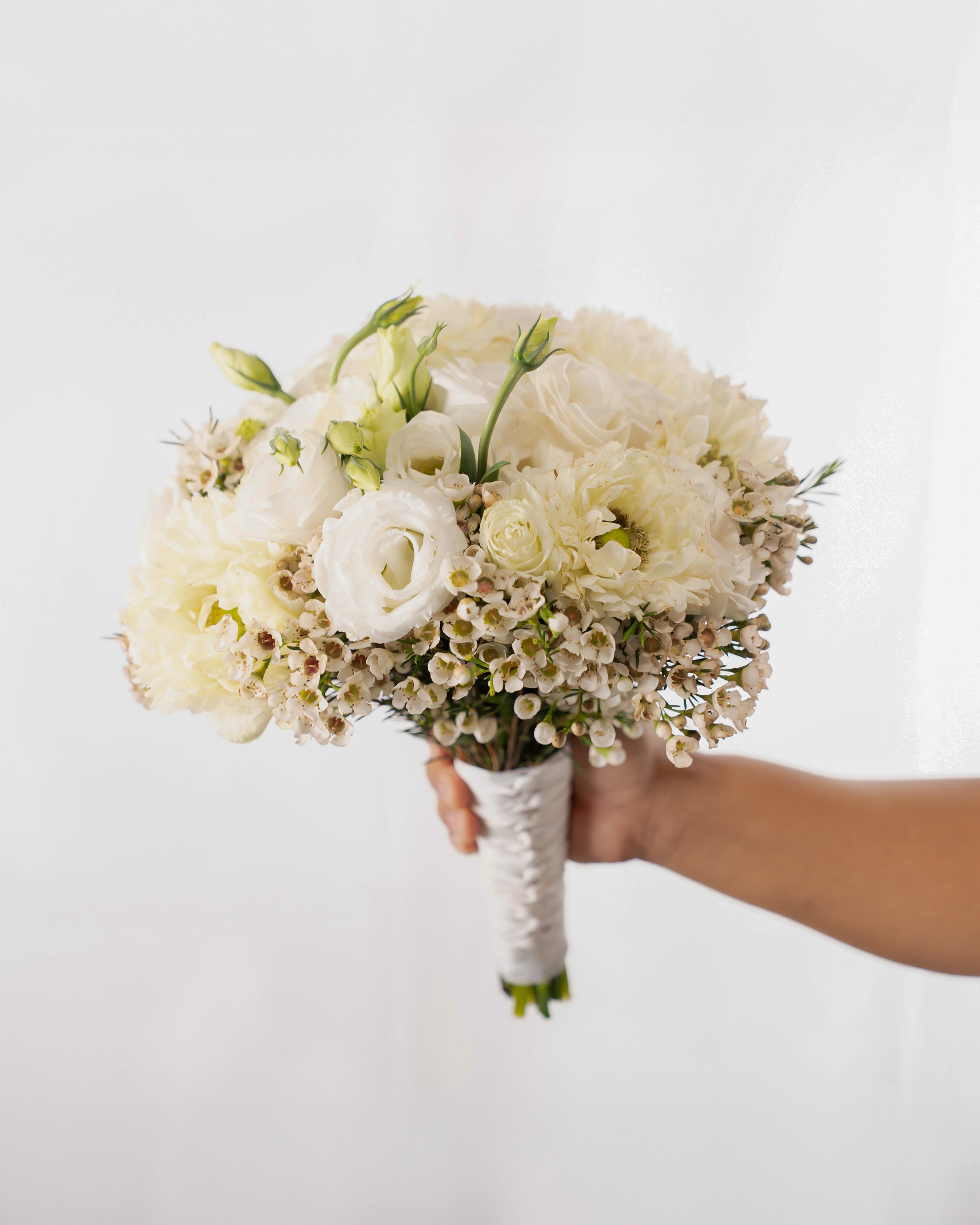 bridal-whisper